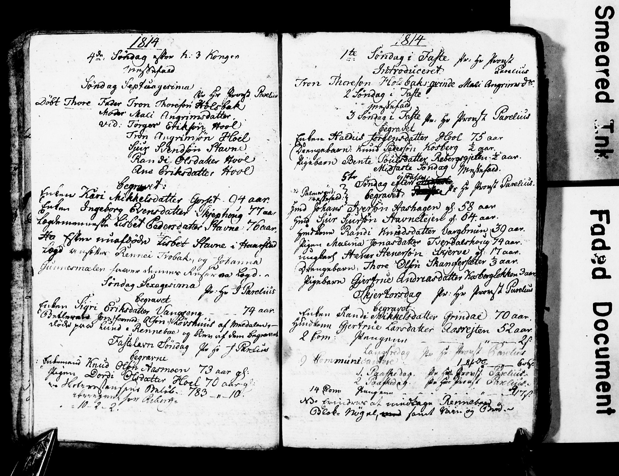 Ministerialprotokoller, klokkerbøker og fødselsregistre - Sør-Trøndelag, SAT/A-1456/674/L0881: Parish register (copy) no. 674C08, 1813-1818
