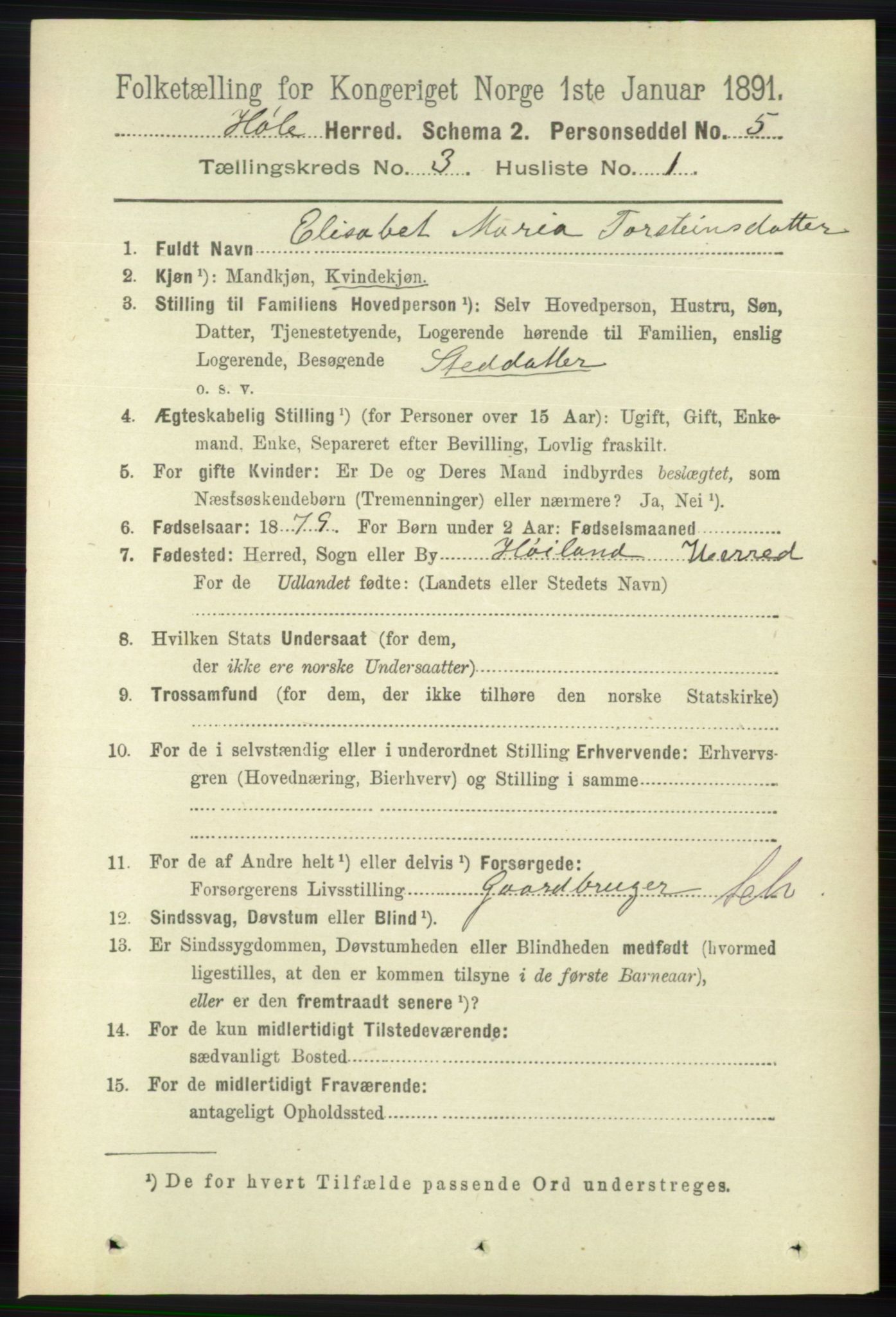 RA, 1891 census for 1128 Høle, 1891, p. 653