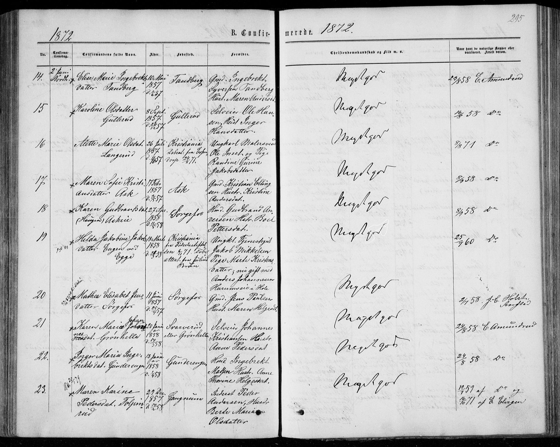 Norderhov kirkebøker, SAKO/A-237/F/Fa/L0013: Parish register (official) no. 13, 1866-1874, p. 295