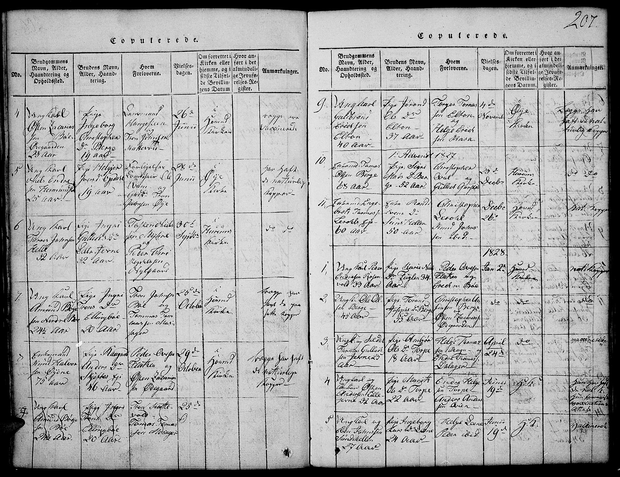 Vang prestekontor, Valdres, SAH/PREST-140/H/Hb/L0002: Parish register (copy) no. 2, 1814-1889, p. 207