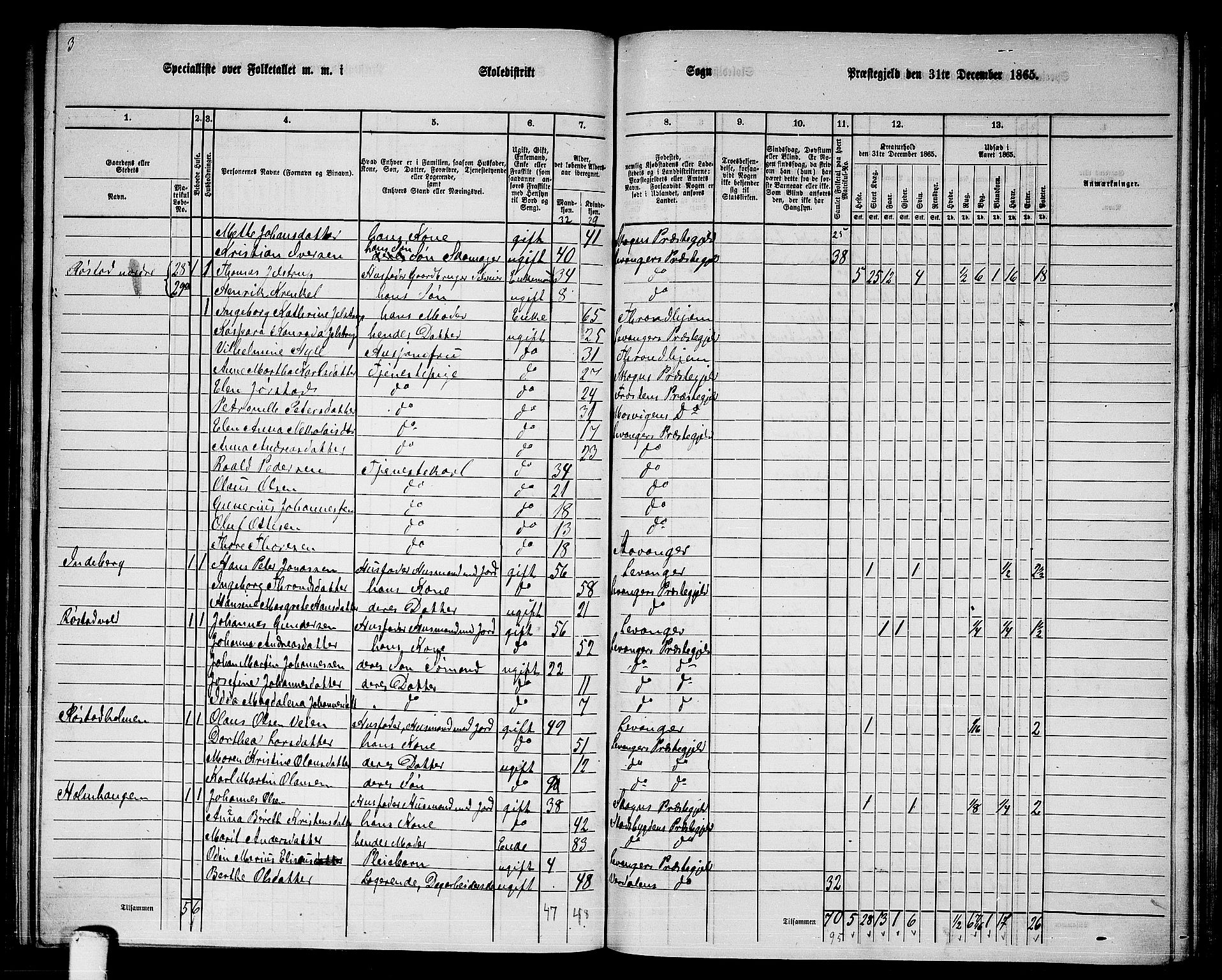 RA, 1865 census for Levanger/Levanger, 1865, p. 29