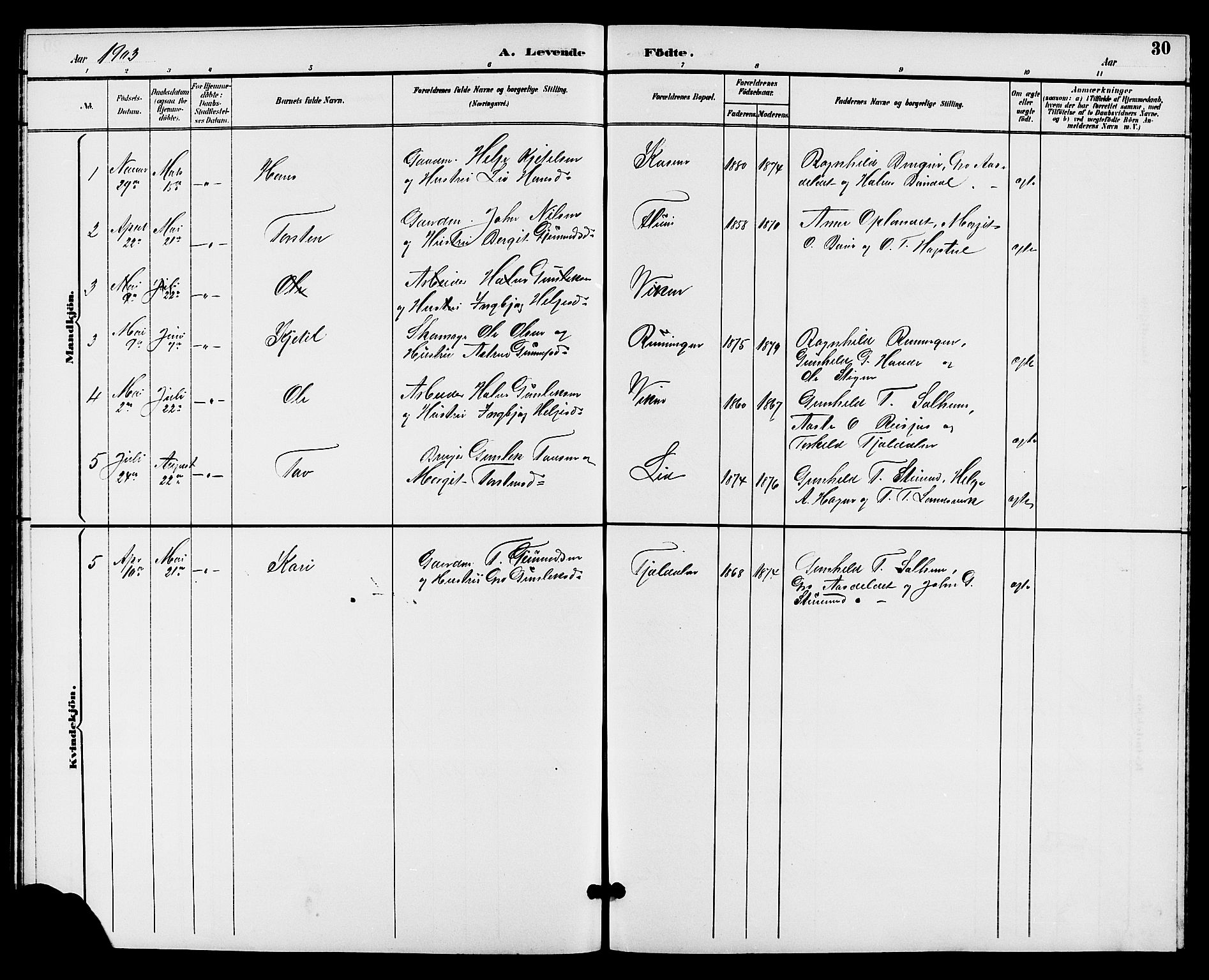 Hjartdal kirkebøker, SAKO/A-270/G/Gc/L0003: Parish register (copy) no. III 3, 1890-1907, p. 30