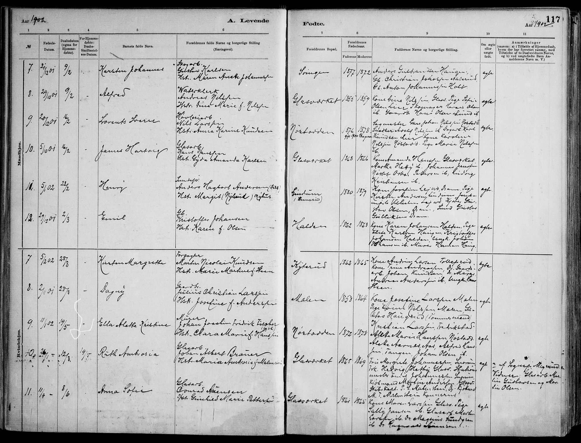 Skoger kirkebøker, AV/SAKO-A-59/F/Fa/L0006: Parish register (official) no. I 6, 1885-1910, p. 117