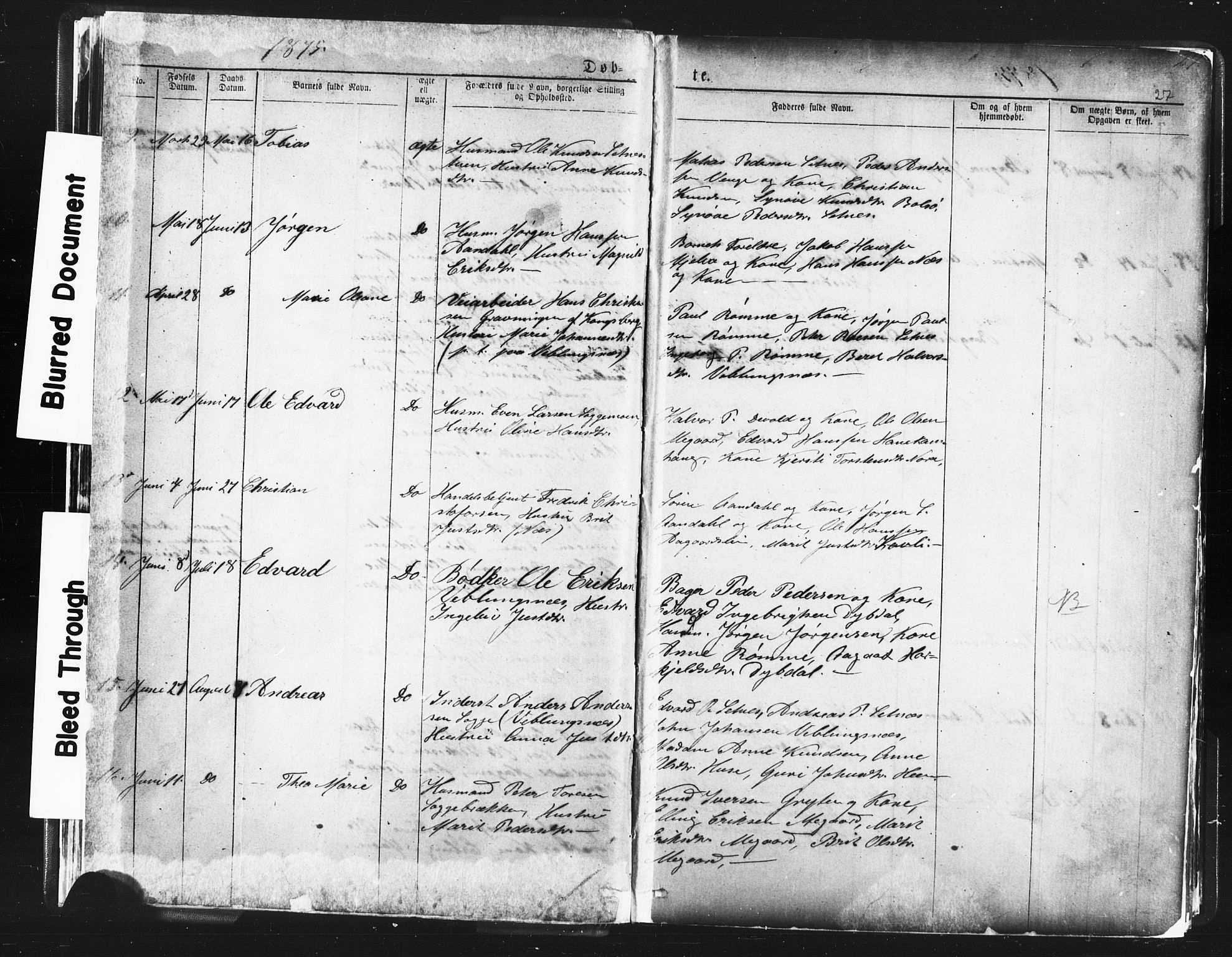 Ministerialprotokoller, klokkerbøker og fødselsregistre - Møre og Romsdal, AV/SAT-A-1454/544/L0580: Parish register (copy) no. 544C02, 1867-1909, p. 27