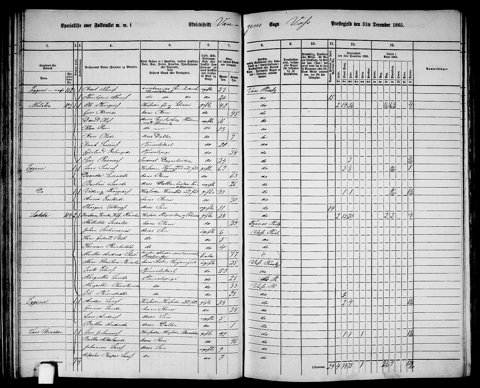 RA, 1865 census for Voss, 1865, p. 53