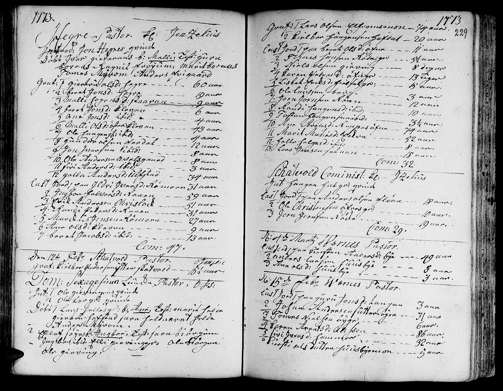 Ministerialprotokoller, klokkerbøker og fødselsregistre - Nord-Trøndelag, SAT/A-1458/709/L0057: Parish register (official) no. 709A05, 1755-1780, p. 229