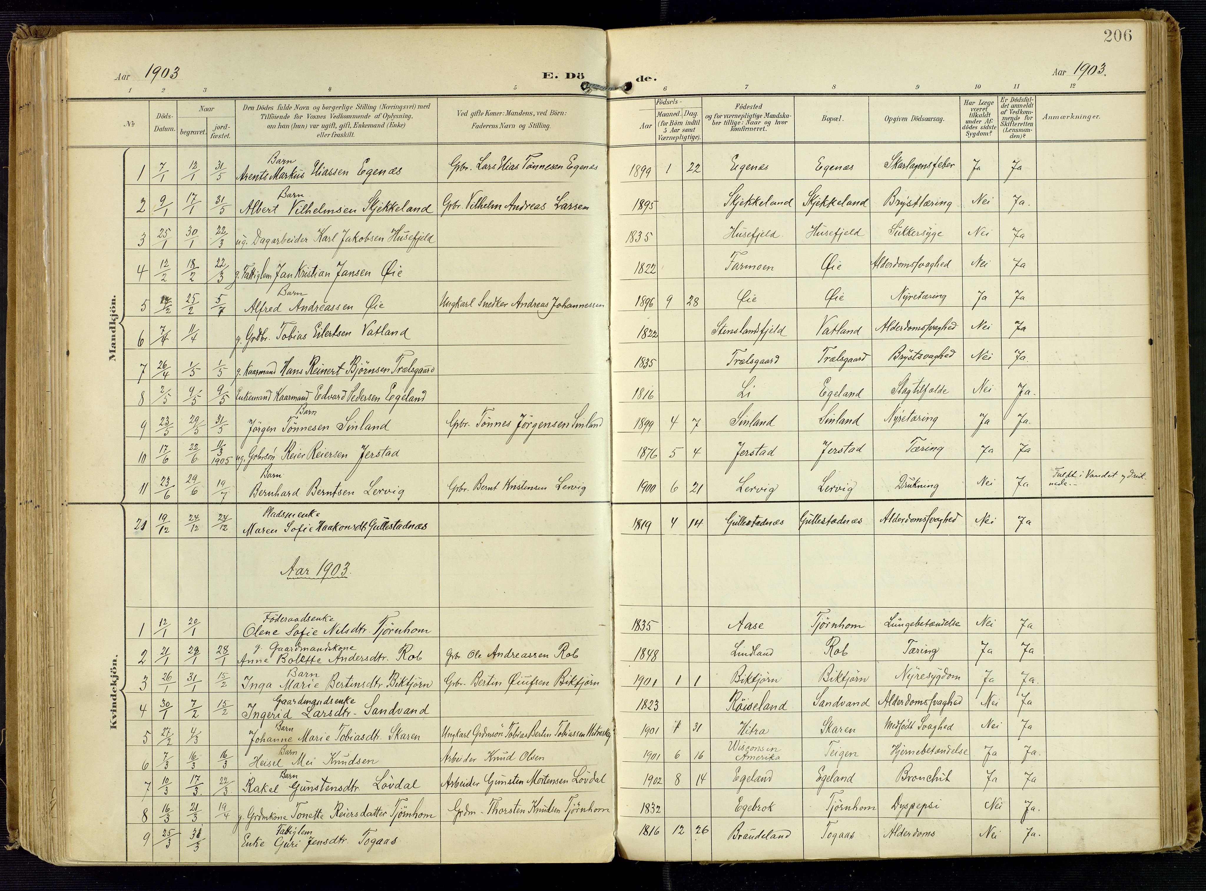 Kvinesdal sokneprestkontor, AV/SAK-1111-0026/F/Fa/Fab/L0009: Parish register (official) no. A 9, 1898-1915, p. 206