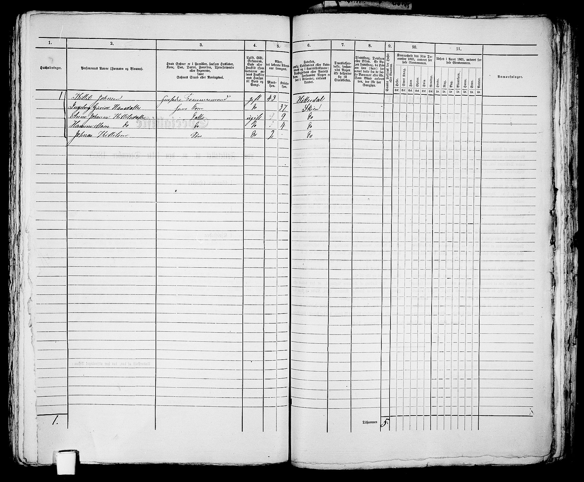 RA, 1865 census for Skien, 1865, p. 1205