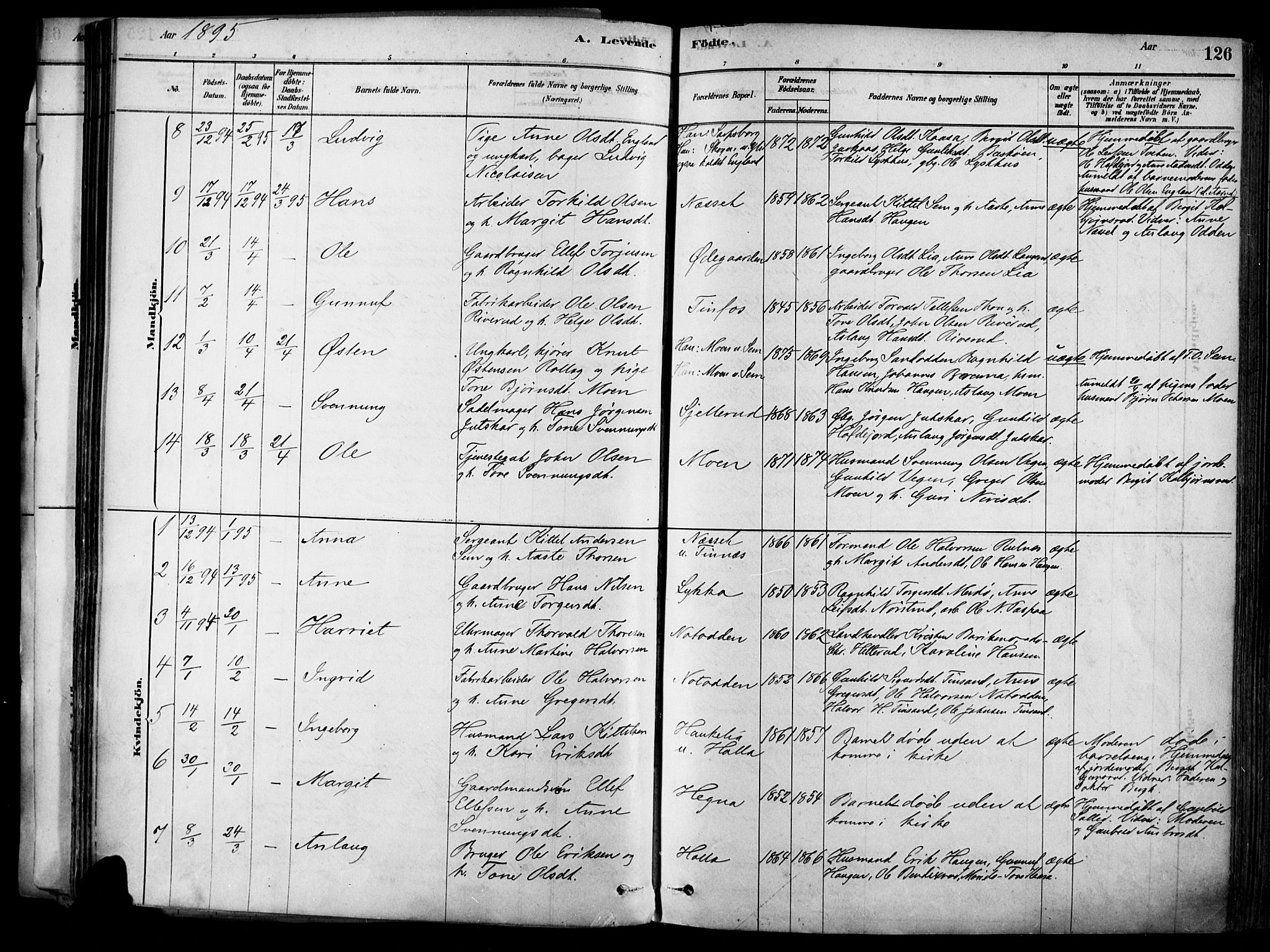 Heddal kirkebøker, SAKO/A-268/F/Fa/L0008: Parish register (official) no. I 8, 1878-1903, p. 126