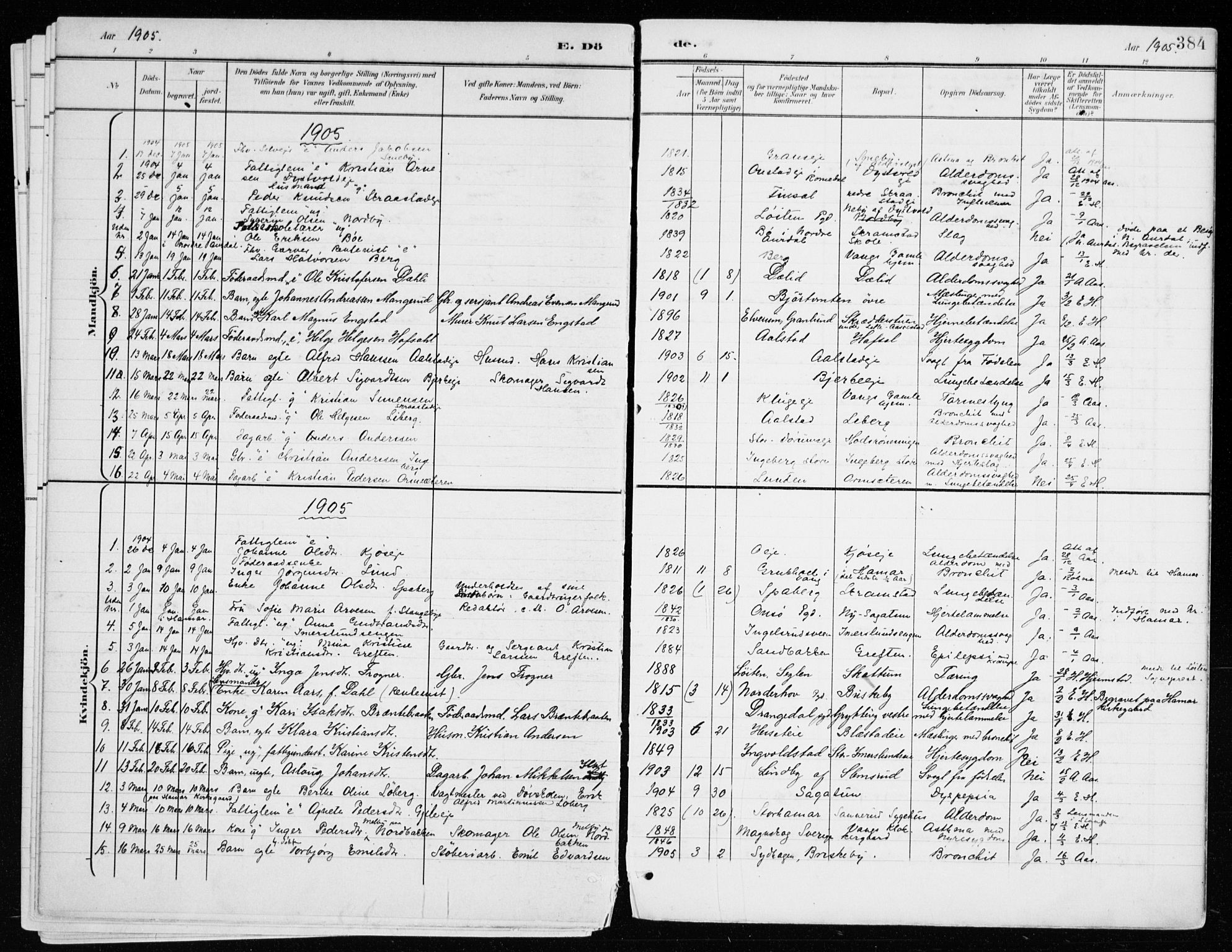 Vang prestekontor, Hedmark, SAH/PREST-008/H/Ha/Haa/L0021: Parish register (official) no. 21, 1902-1917, p. 384