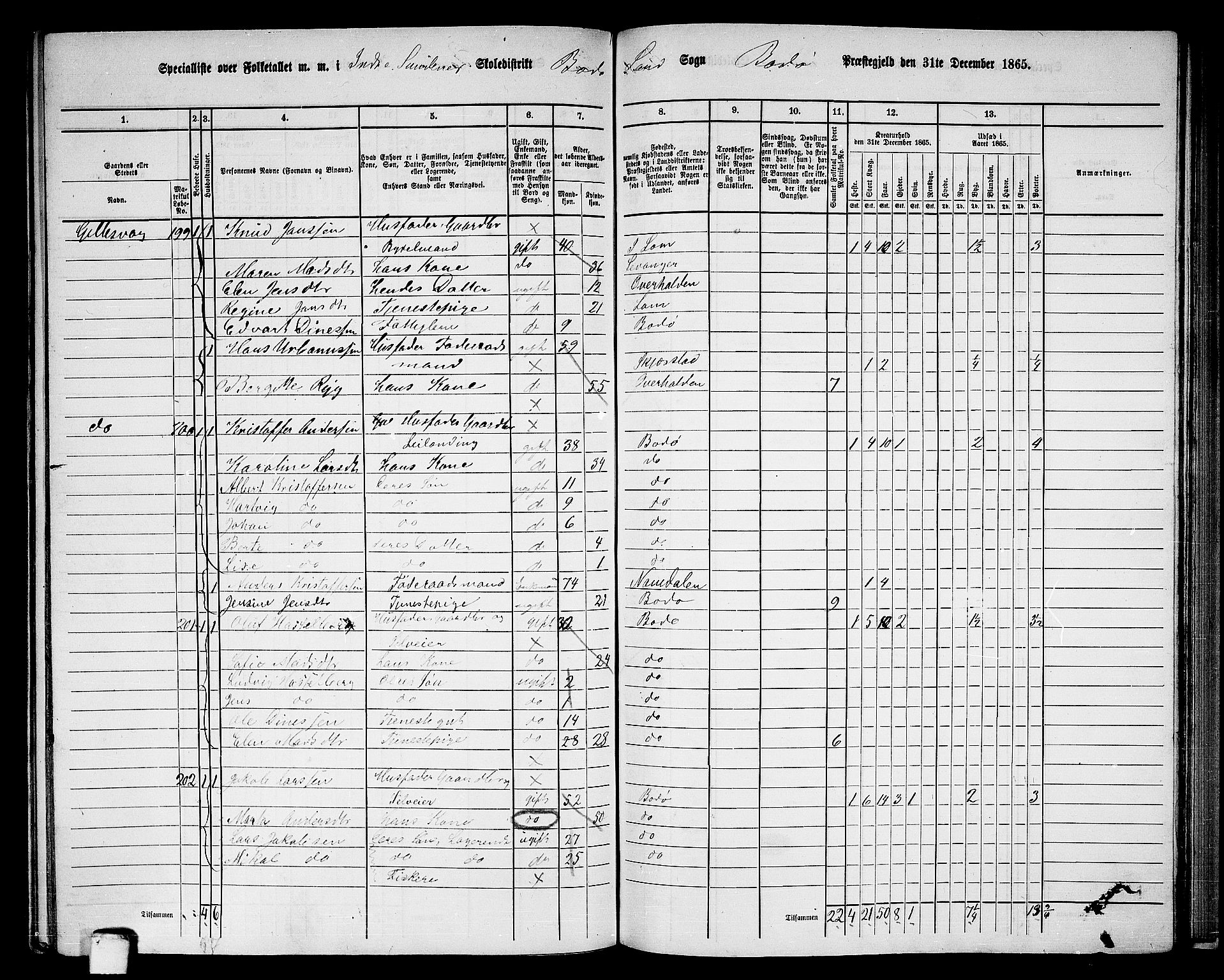 RA, 1865 census for Bodø/Bodø, 1865, p. 120