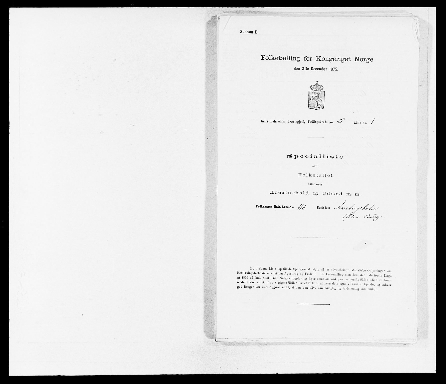 SAB, 1875 census for 1430P Indre Holmedal, 1875, p. 529