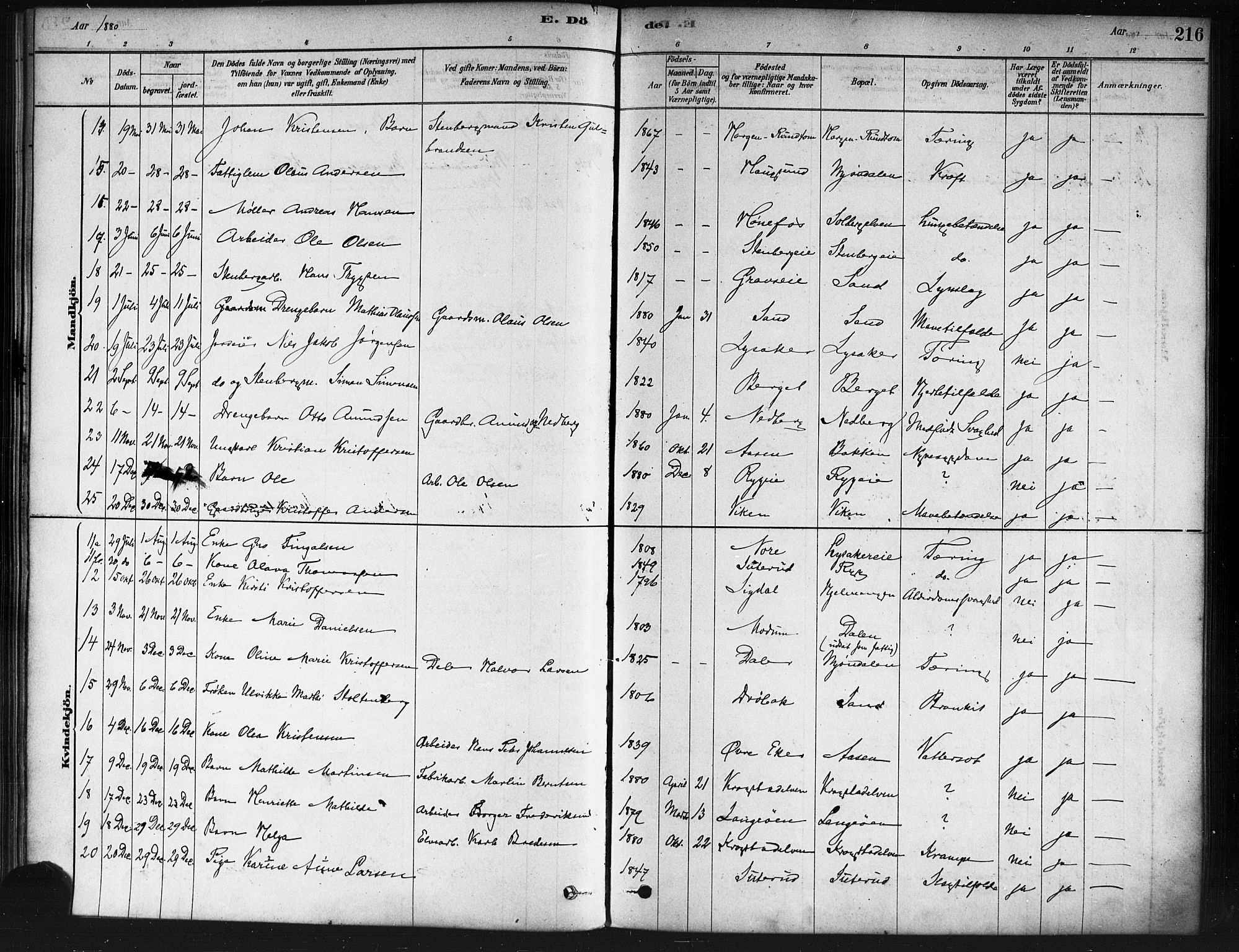 Nedre Eiker kirkebøker, SAKO/A-612/F/Fa/L0002: Parish register (official) no. 2, 1878-1885, p. 216