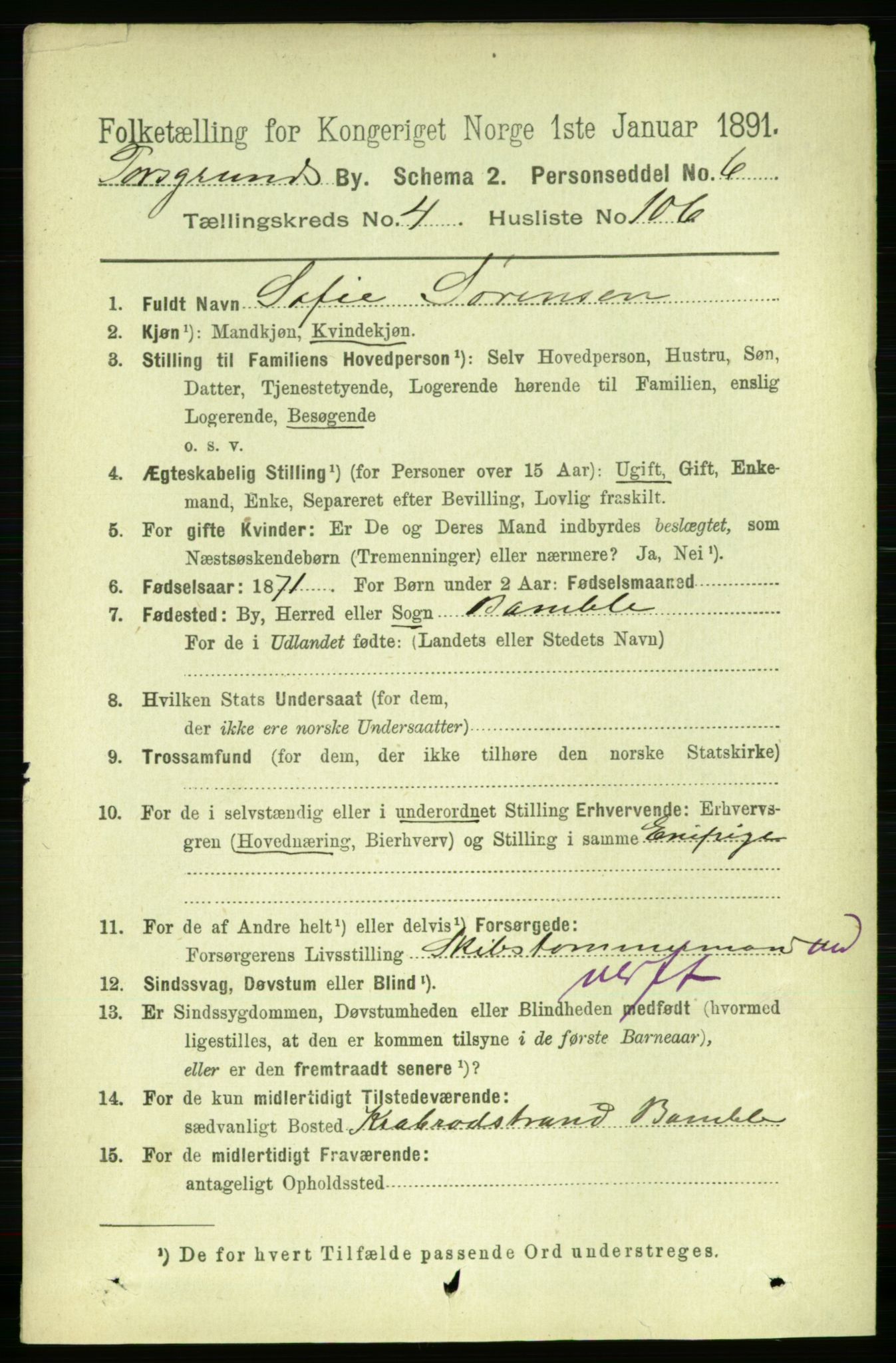 RA, 1891 census for 0805 Porsgrunn, 1891, p. 4444