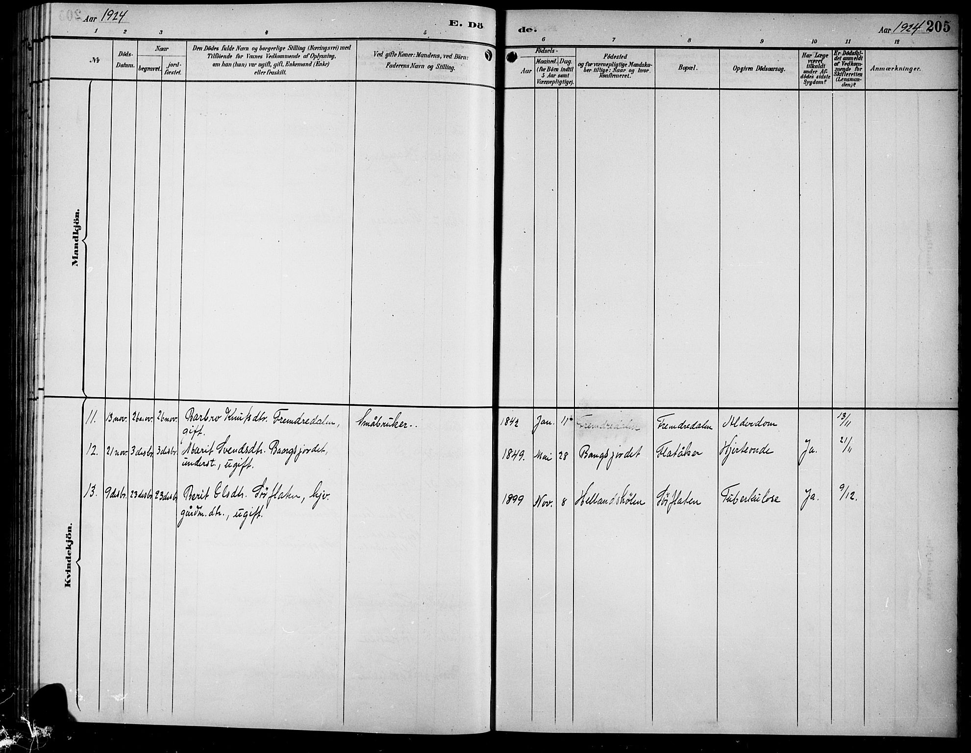 Sør-Aurdal prestekontor, AV/SAH-PREST-128/H/Ha/Hab/L0009: Parish register (copy) no. 9, 1894-1924, p. 205