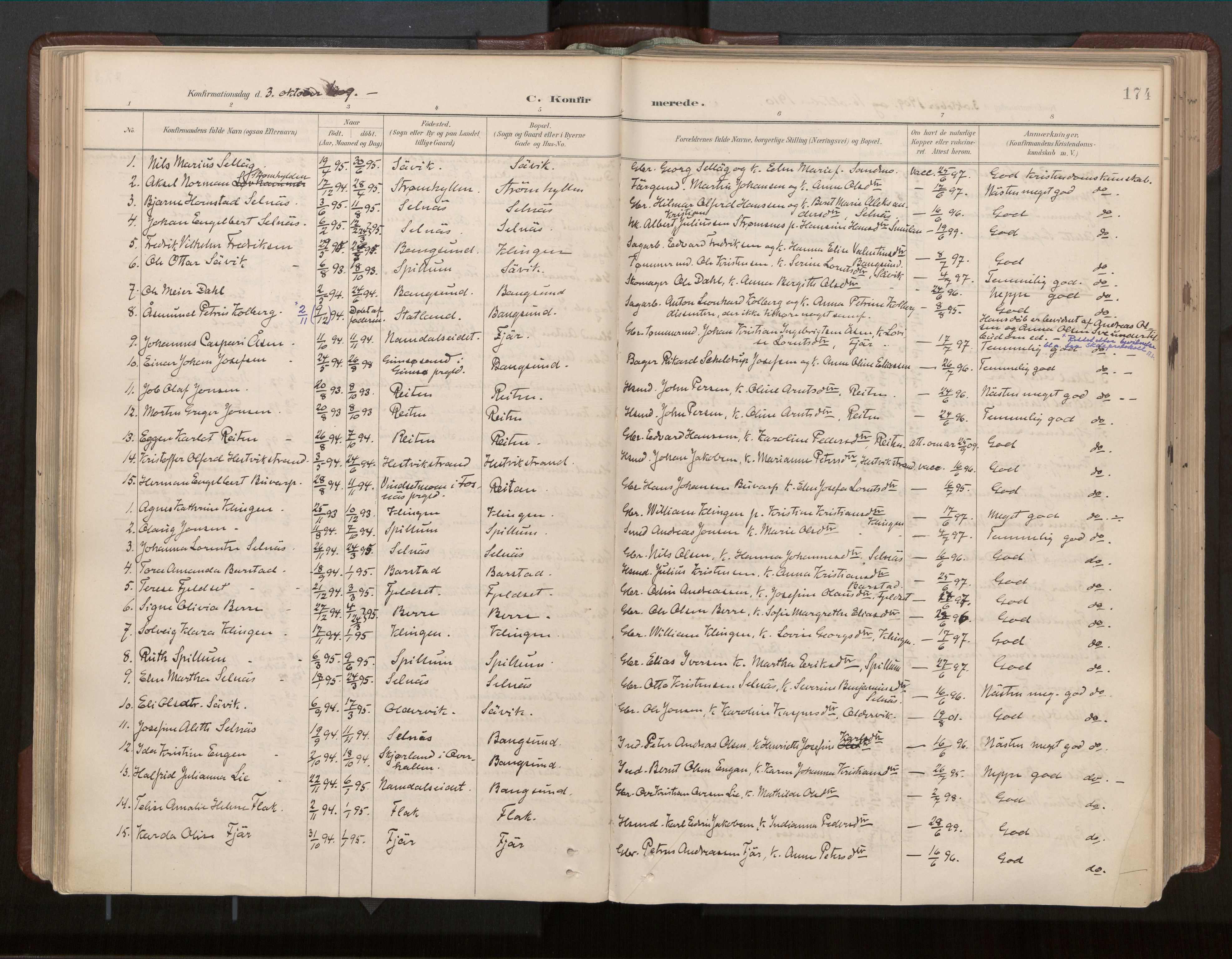 Ministerialprotokoller, klokkerbøker og fødselsregistre - Nord-Trøndelag, SAT/A-1458/770/L0589: Parish register (official) no. 770A03, 1887-1929, p. 174