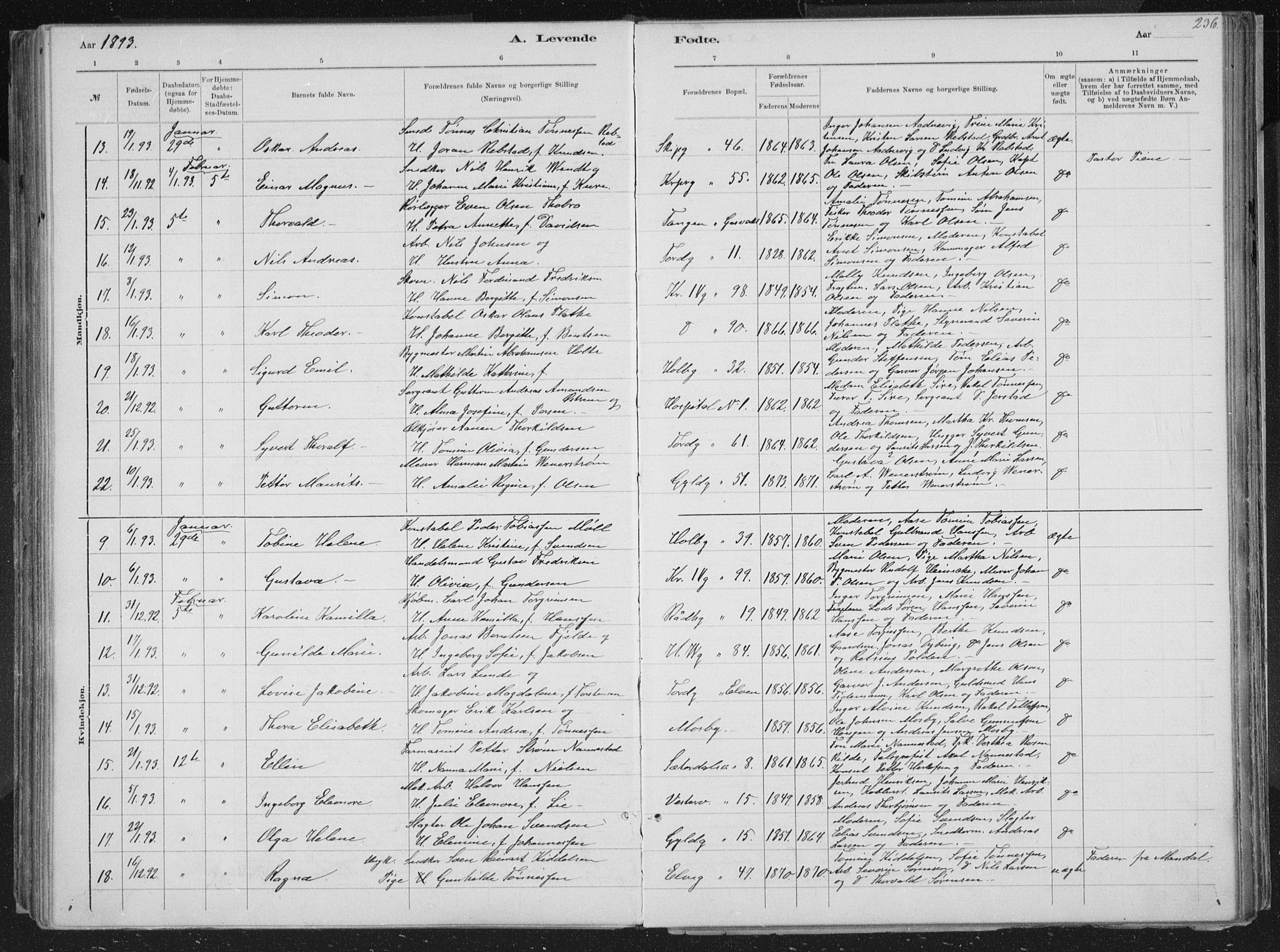Kristiansand domprosti, SAK/1112-0006/F/Fb/L0014: Parish register (copy) no. B 14, 1881-1896, p. 236