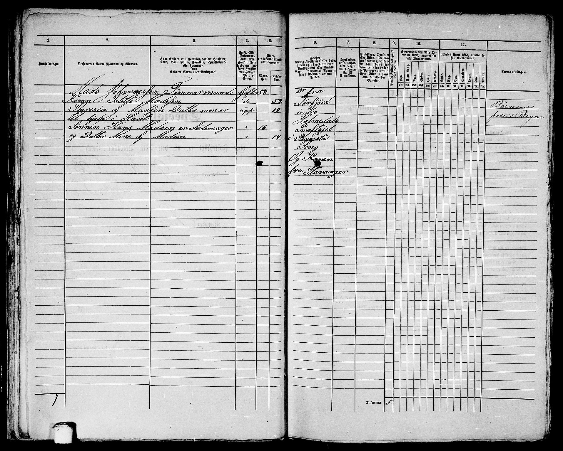 RA, 1865 census for Bergen, 1865, p. 1602