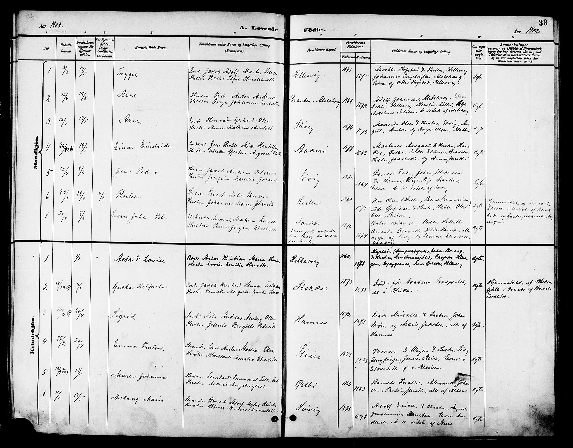 Ministerialprotokoller, klokkerbøker og fødselsregistre - Nordland, AV/SAT-A-1459/830/L0463: Parish register (copy) no. 830C05, 1895-1906, p. 33