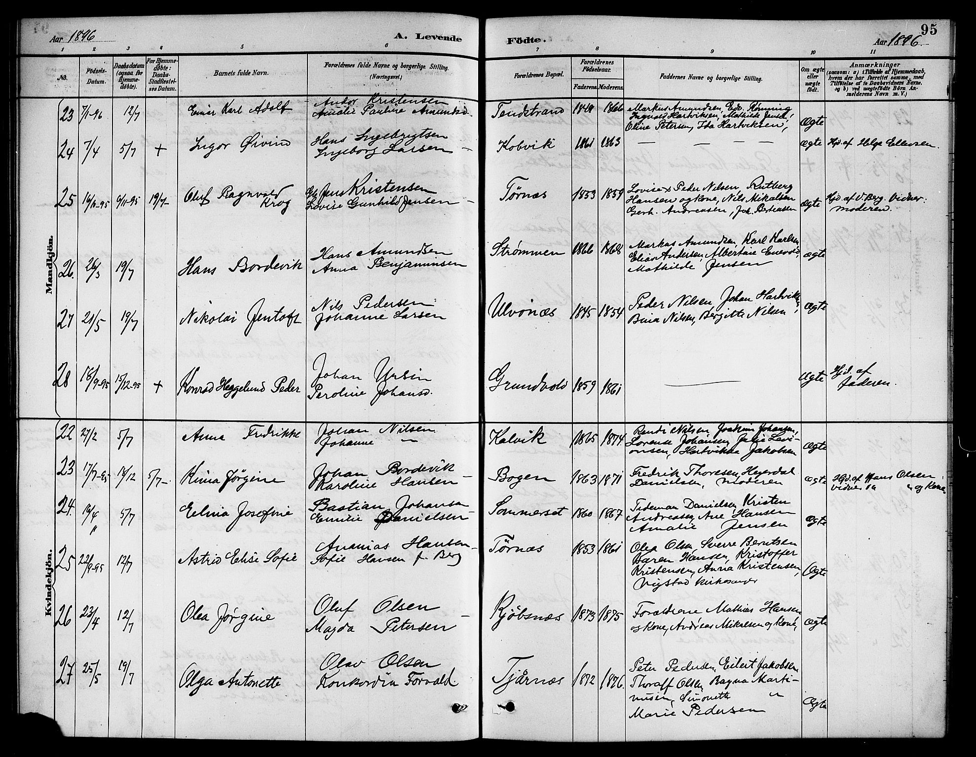 Ministerialprotokoller, klokkerbøker og fødselsregistre - Nordland, AV/SAT-A-1459/861/L0876: Parish register (copy) no. 861C02, 1887-1903, p. 95