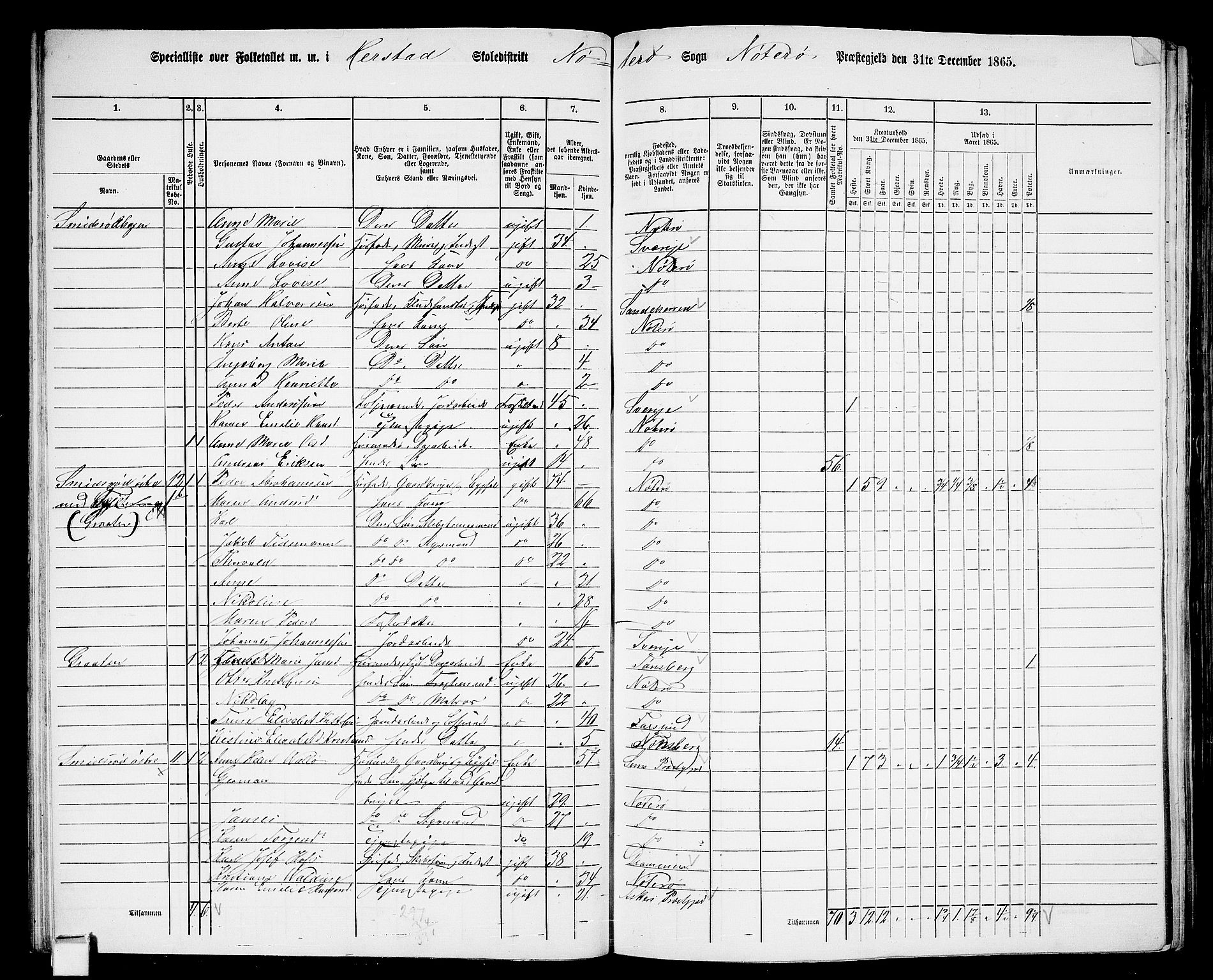 RA, 1865 census for Nøtterøy, 1865, p. 49