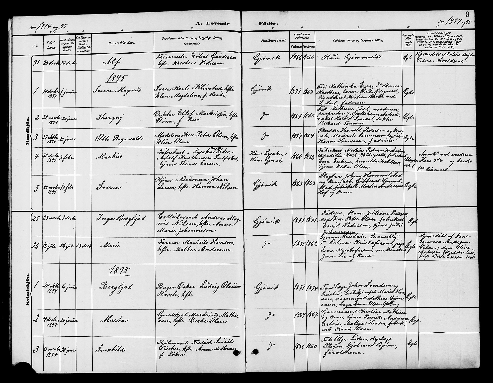 Vardal prestekontor, SAH/PREST-100/H/Ha/Hab/L0009: Parish register (copy) no. 9, 1894-1902, p. 3