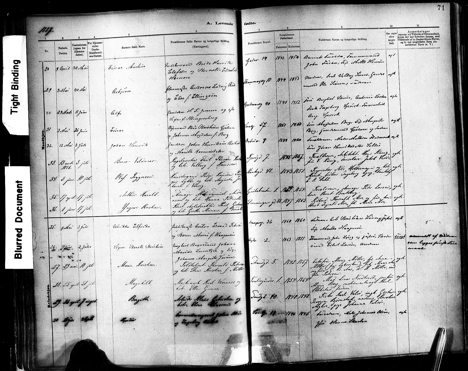 Ministerialprotokoller, klokkerbøker og fødselsregistre - Sør-Trøndelag, AV/SAT-A-1456/602/L0119: Parish register (official) no. 602A17, 1880-1901, p. 71