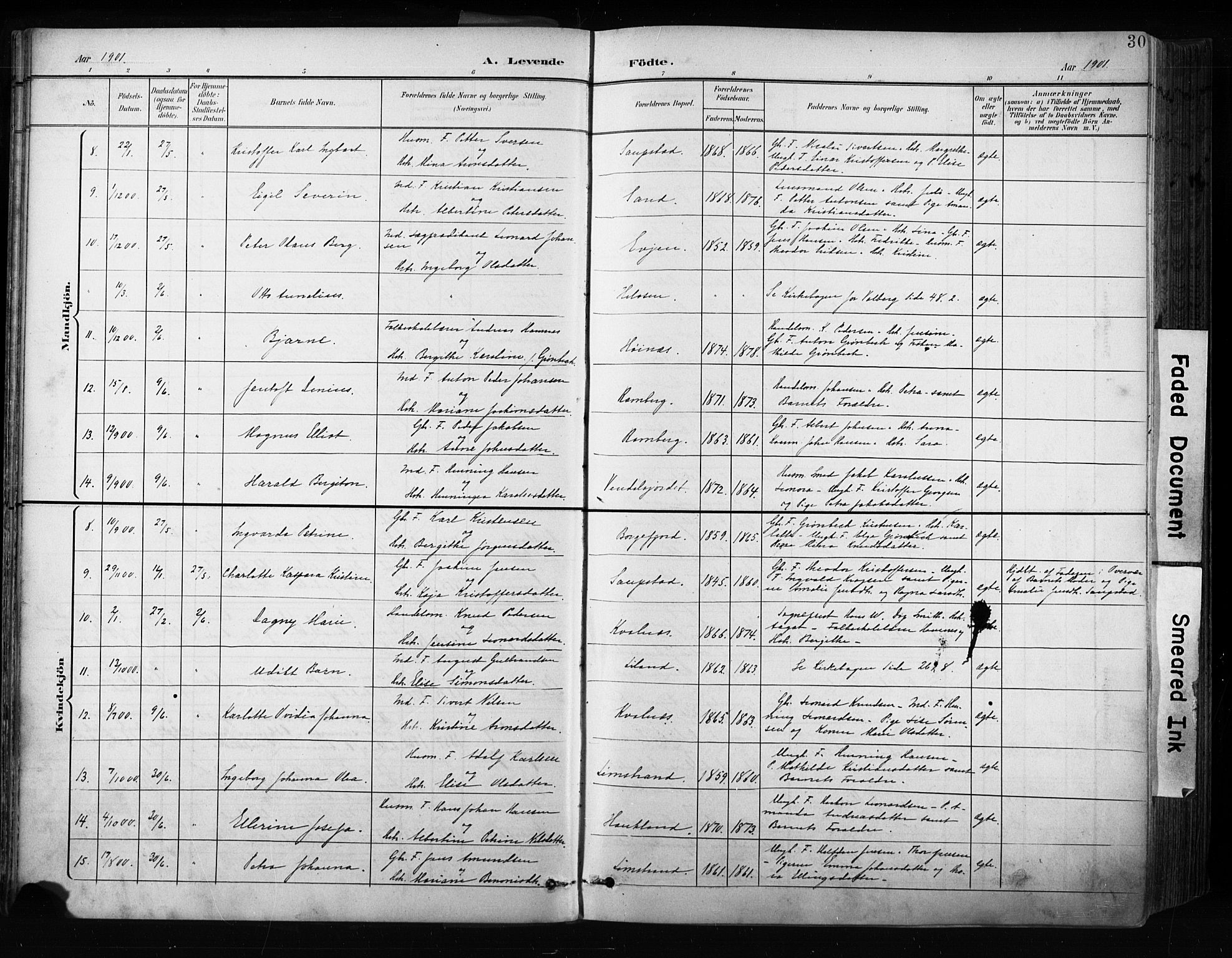 Ministerialprotokoller, klokkerbøker og fødselsregistre - Nordland, AV/SAT-A-1459/880/L1134: Parish register (official) no. 880A08, 1899-1908, p. 30