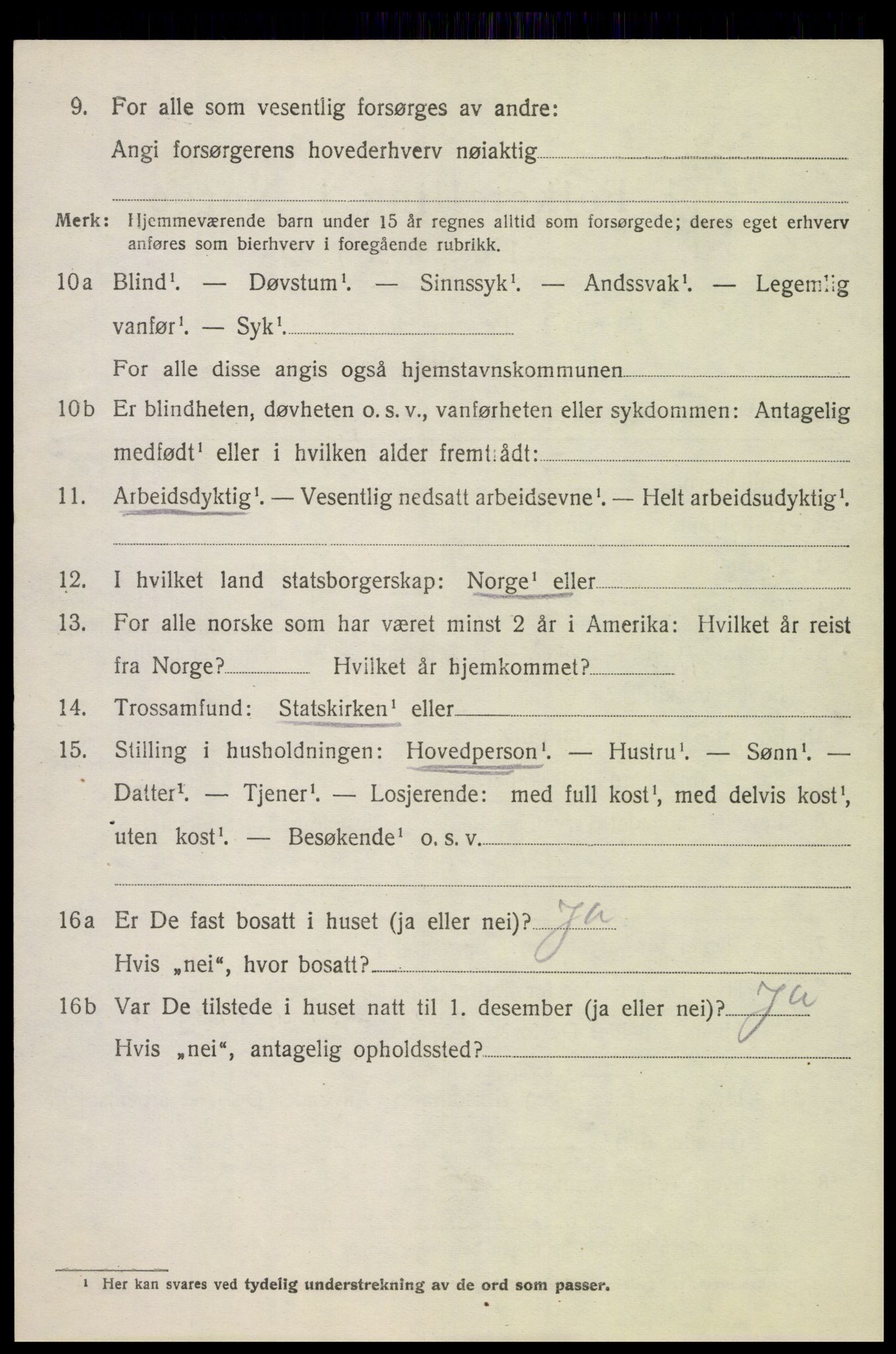 SAH, 1920 census for Dovre, 1920, p. 1241