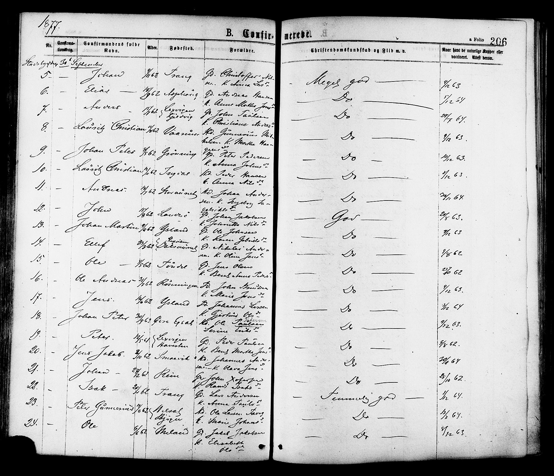 Ministerialprotokoller, klokkerbøker og fødselsregistre - Sør-Trøndelag, SAT/A-1456/646/L0613: Parish register (official) no. 646A11, 1870-1884, p. 206