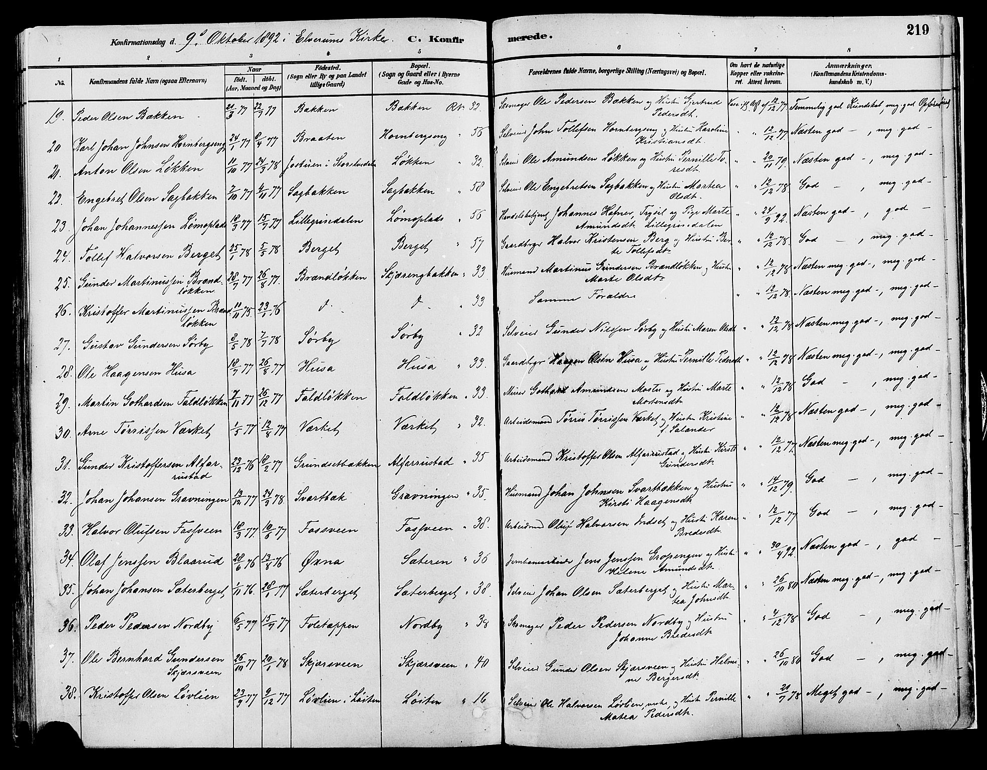 Elverum prestekontor, AV/SAH-PREST-044/H/Ha/Haa/L0013: Parish register (official) no. 13, 1880-1890, p. 219