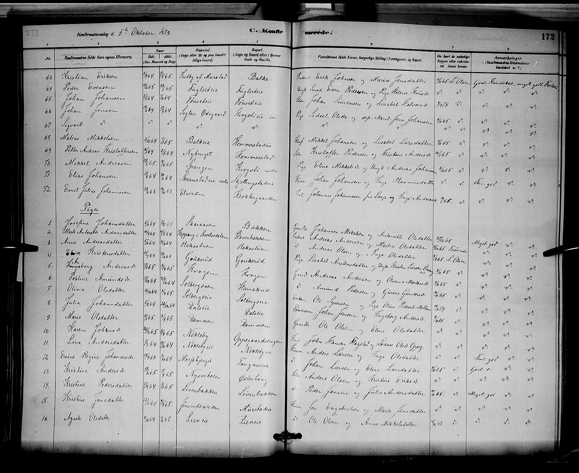 Løten prestekontor, SAH/PREST-022/L/La/L0005: Parish register (copy) no. 5, 1878-1891, p. 172