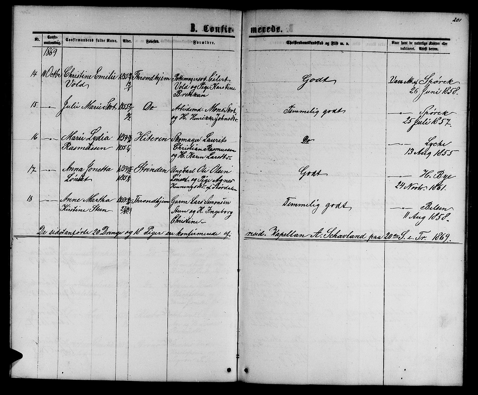 Ministerialprotokoller, klokkerbøker og fødselsregistre - Sør-Trøndelag, SAT/A-1456/601/L0087: Parish register (copy) no. 601C05, 1864-1881, p. 201