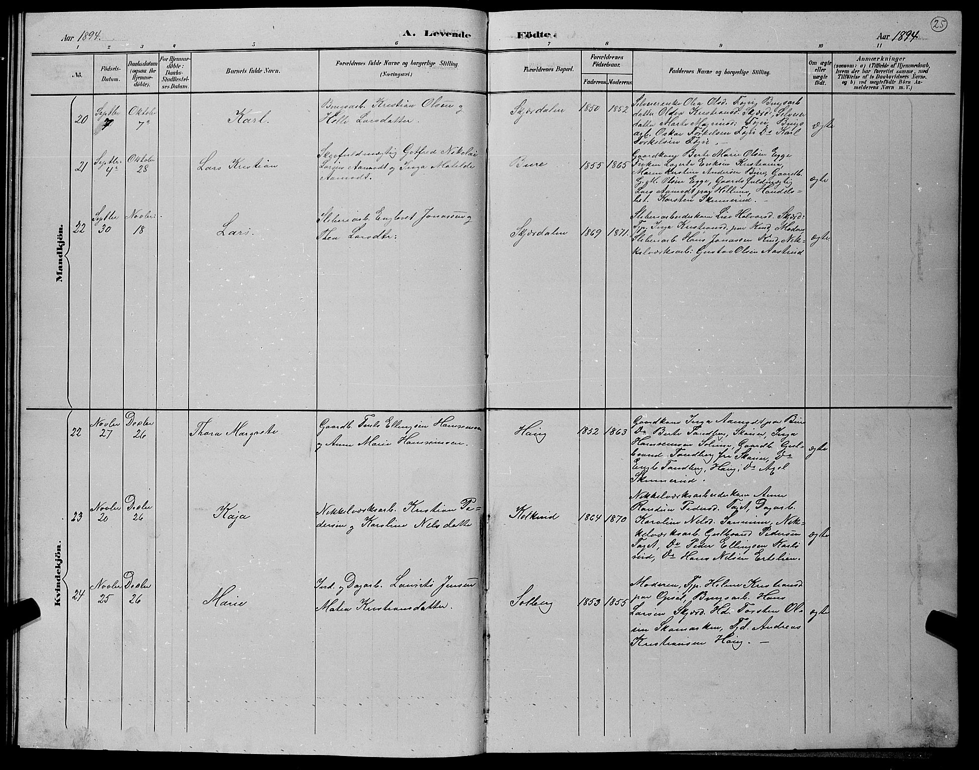 Hole kirkebøker, AV/SAKO-A-228/G/Gb/L0003: Parish register (copy) no. II 3, 1890-1901, p. 25