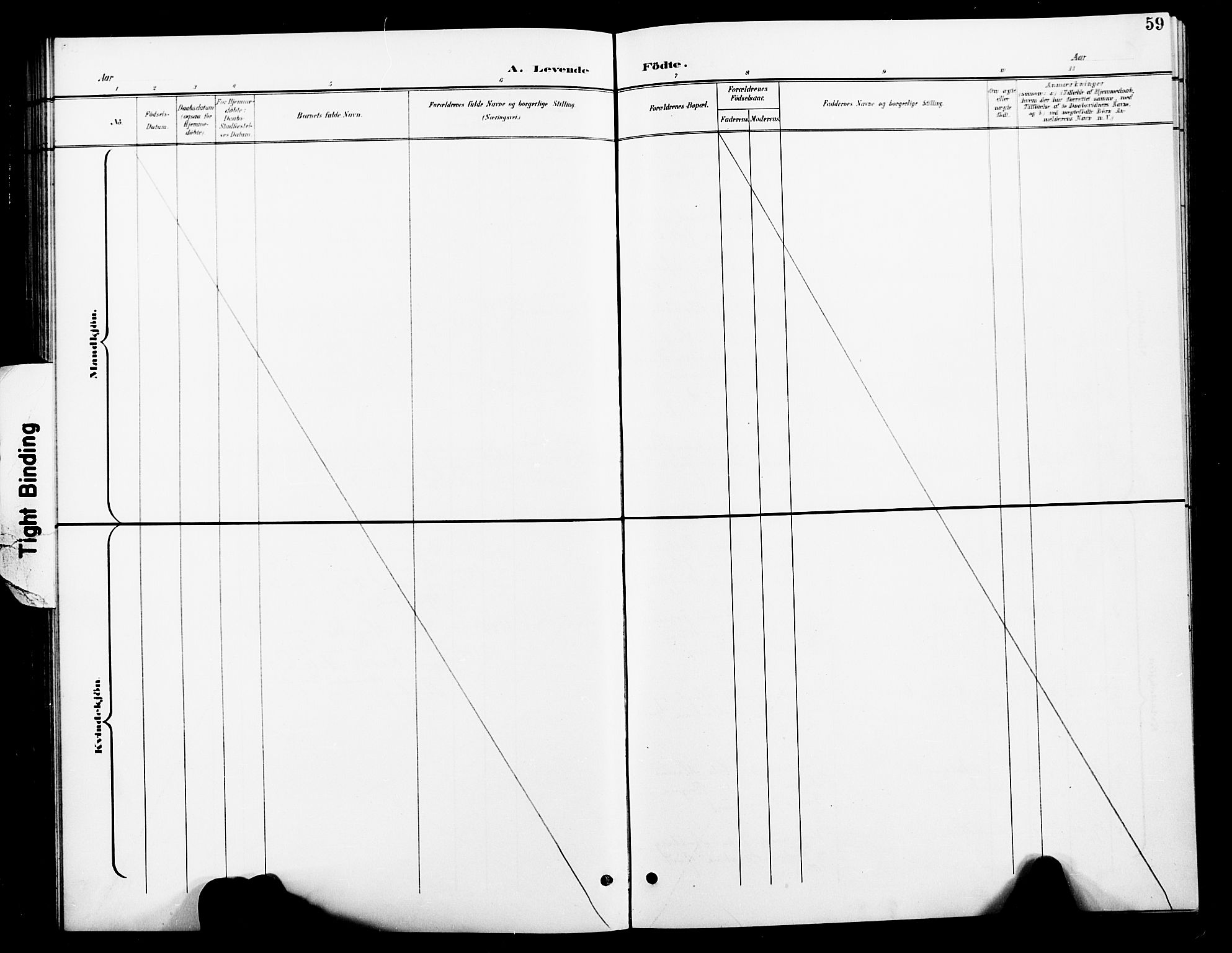 Ministerialprotokoller, klokkerbøker og fødselsregistre - Nord-Trøndelag, AV/SAT-A-1458/739/L0375: Parish register (copy) no. 739C03, 1898-1908, p. 59