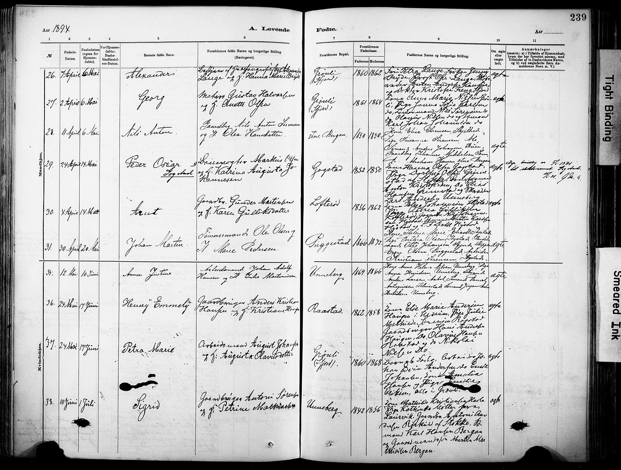 Sandar kirkebøker, AV/SAKO-A-243/F/Fa/L0012: Parish register (official) no. 12, 1883-1895, p. 239