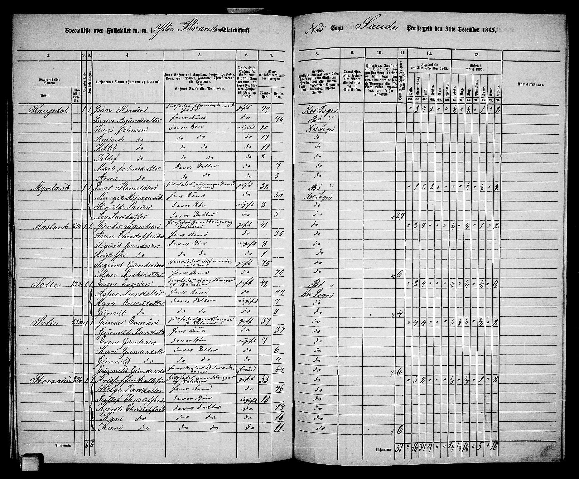 RA, 1865 census for Sauherad, 1865, p. 166