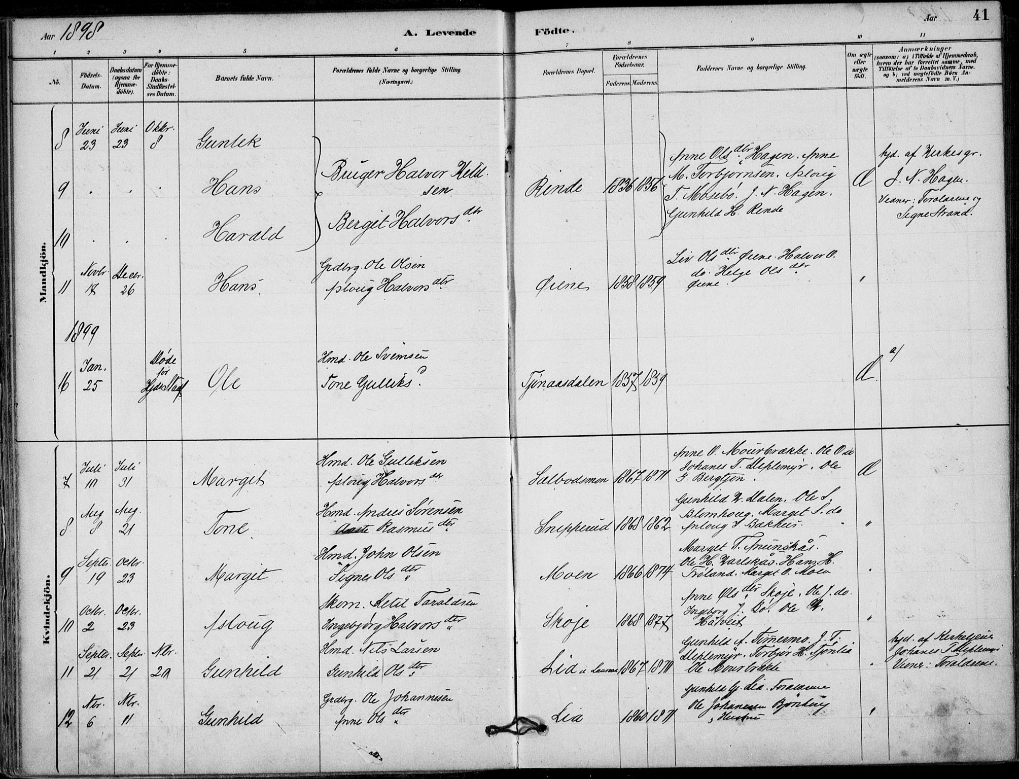 Hjartdal kirkebøker, SAKO/A-270/F/Fb/L0002: Parish register (official) no. II 2, 1880-1932, p. 41