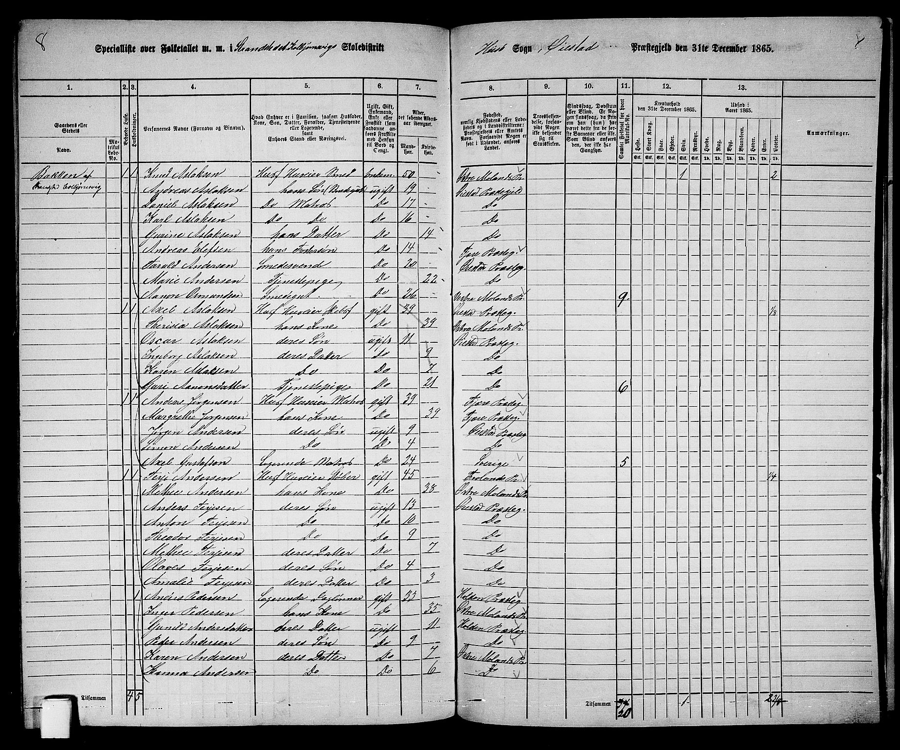 RA, 1865 census for Øyestad, 1865, p. 238