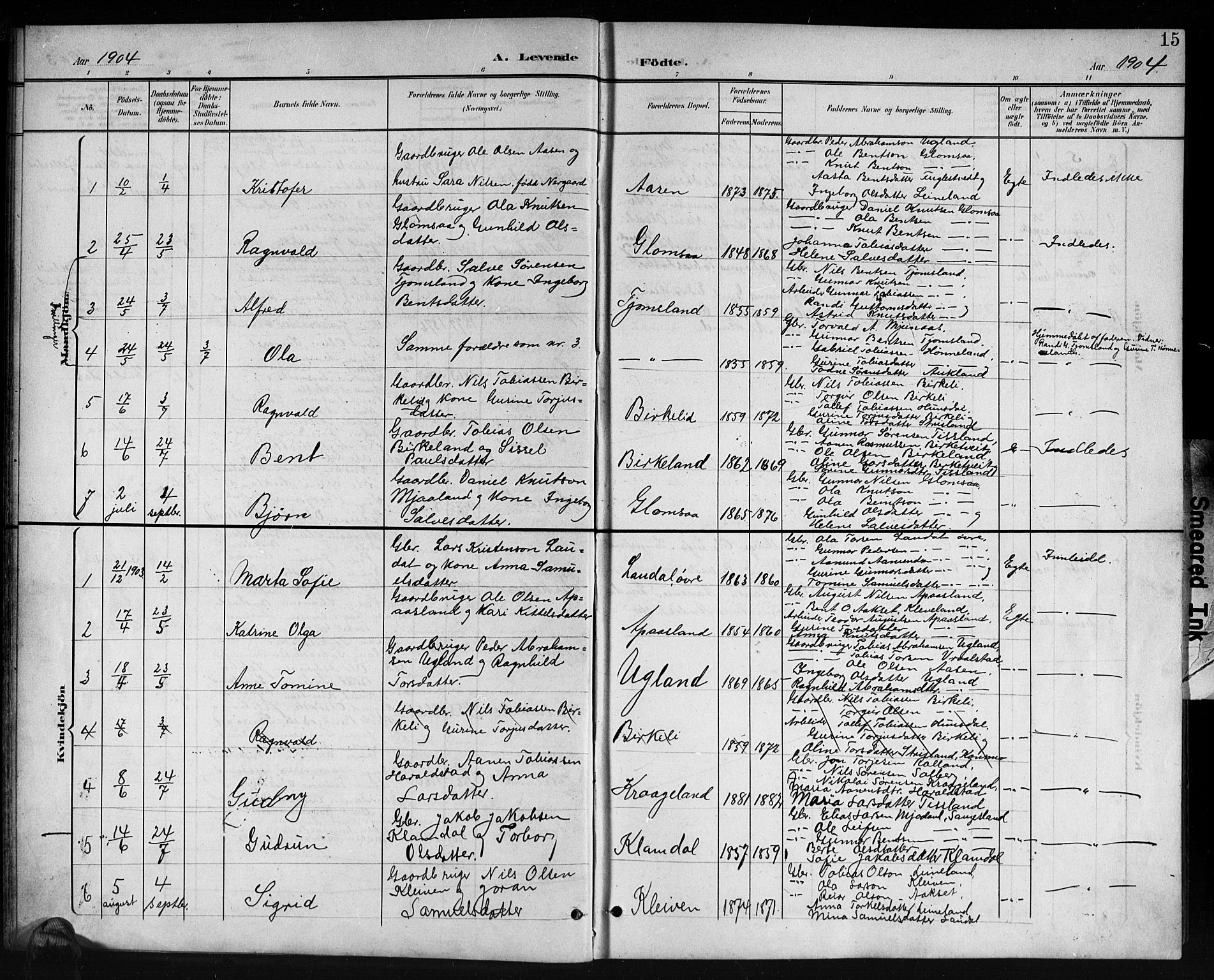 Holum sokneprestkontor, SAK/1111-0022/F/Fb/Fbb/L0004: Parish register (copy) no. B 4, 1899-1920, p. 15