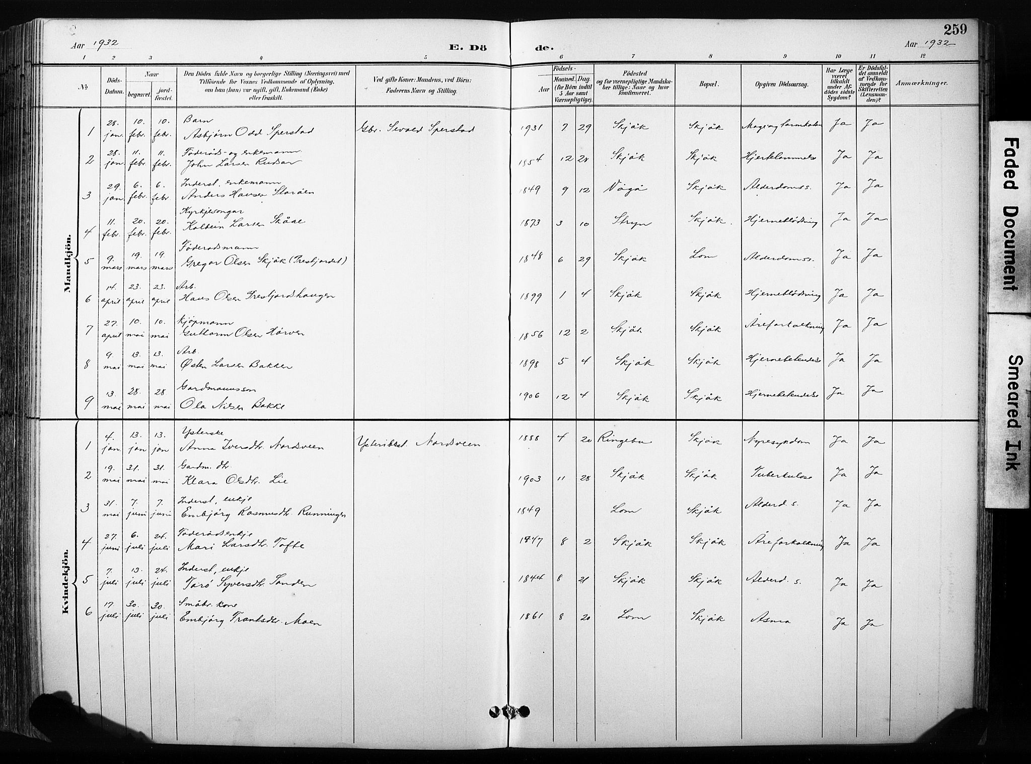 Skjåk prestekontor, SAH/PREST-072/H/Ha/Hab/L0003: Parish register (copy) no. 3, 1893-1932, p. 259