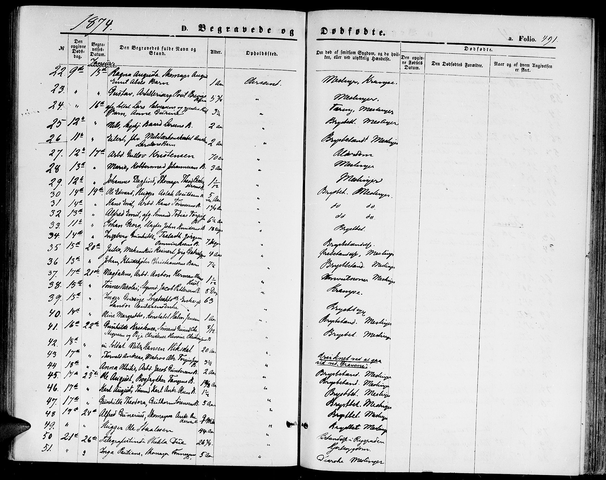 Kristiansand domprosti, AV/SAK-1112-0006/F/Fb/L0013: Parish register (copy) no. B 13, 1871-1880, p. 491