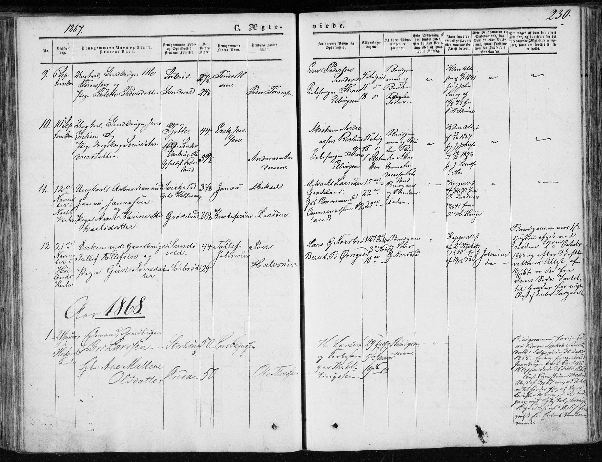 Klepp sokneprestkontor, SAST/A-101803/001/3/30BA/L0005: Parish register (official) no. A 5, 1853-1870, p. 230