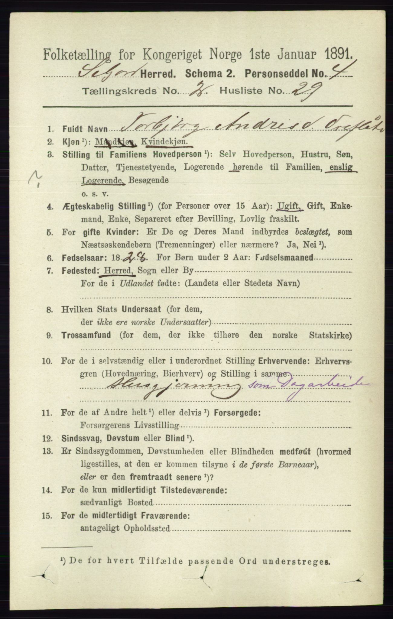 RA, 1891 census for 0828 Seljord, 1891, p. 726