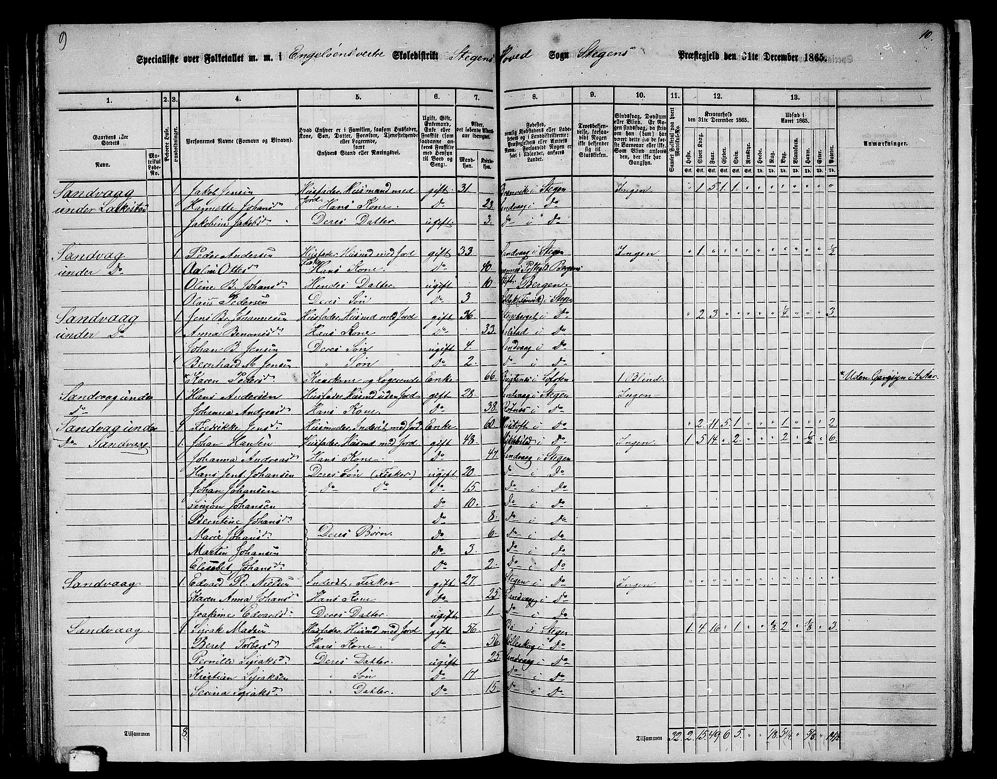 RA, 1865 census for Steigen, 1865, p. 97