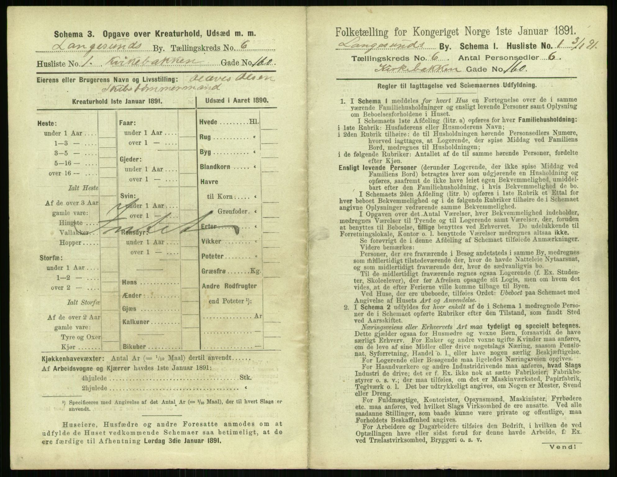 RA, 1891 census for 0802 Langesund, 1891, p. 384