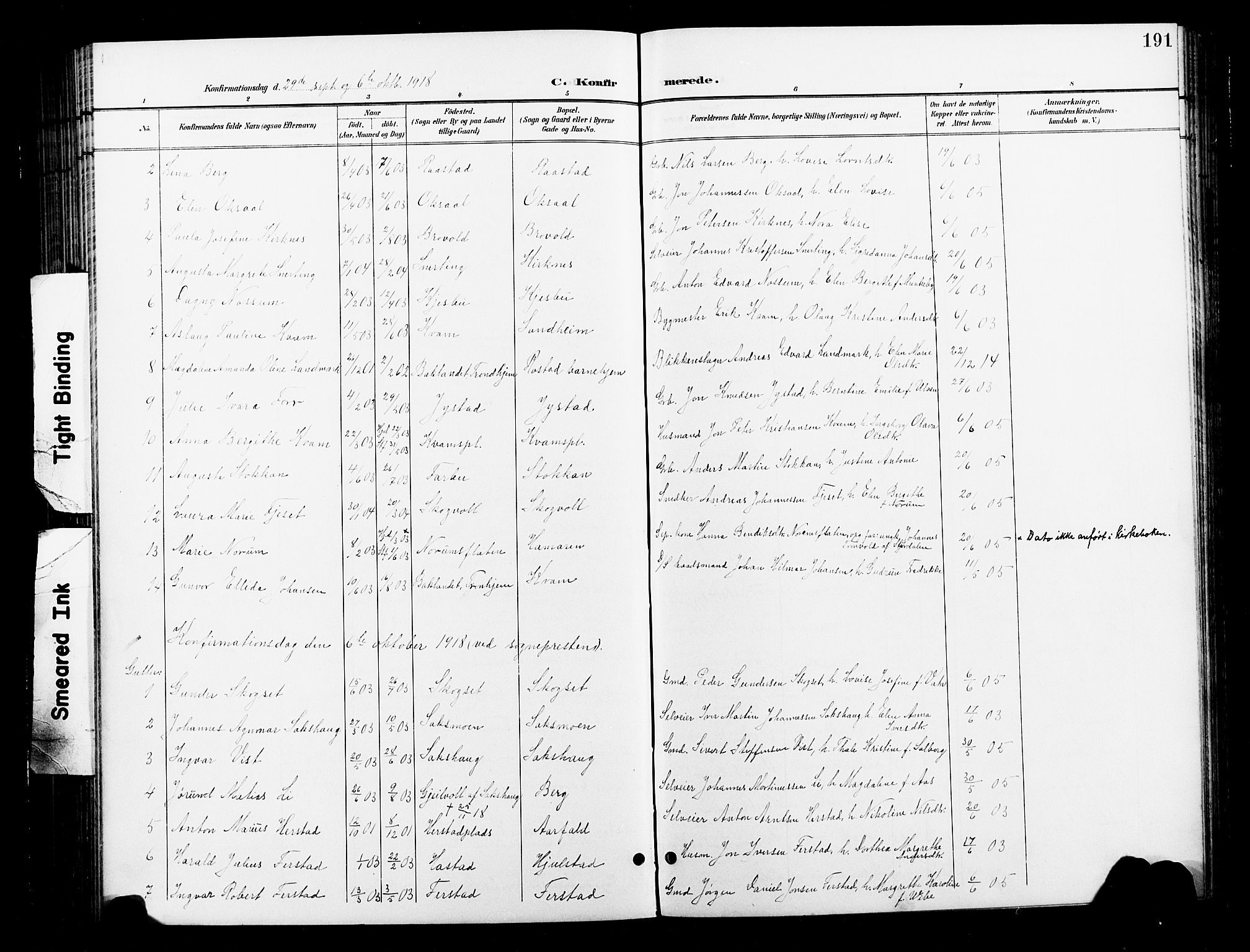 Ministerialprotokoller, klokkerbøker og fødselsregistre - Nord-Trøndelag, AV/SAT-A-1458/730/L0302: Parish register (copy) no. 730C05, 1898-1924, p. 191