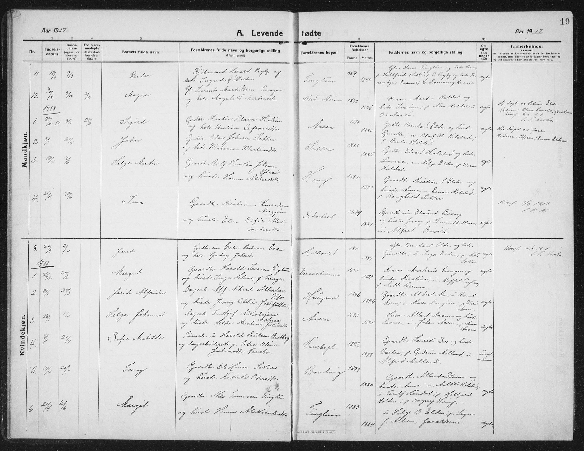 Ministerialprotokoller, klokkerbøker og fødselsregistre - Nord-Trøndelag, AV/SAT-A-1458/742/L0413: Parish register (copy) no. 742C04, 1911-1938, p. 19