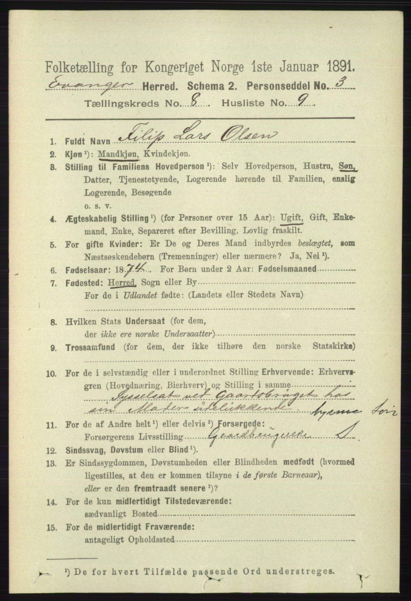 RA, 1891 census for 1237 Evanger, 1891, p. 2314