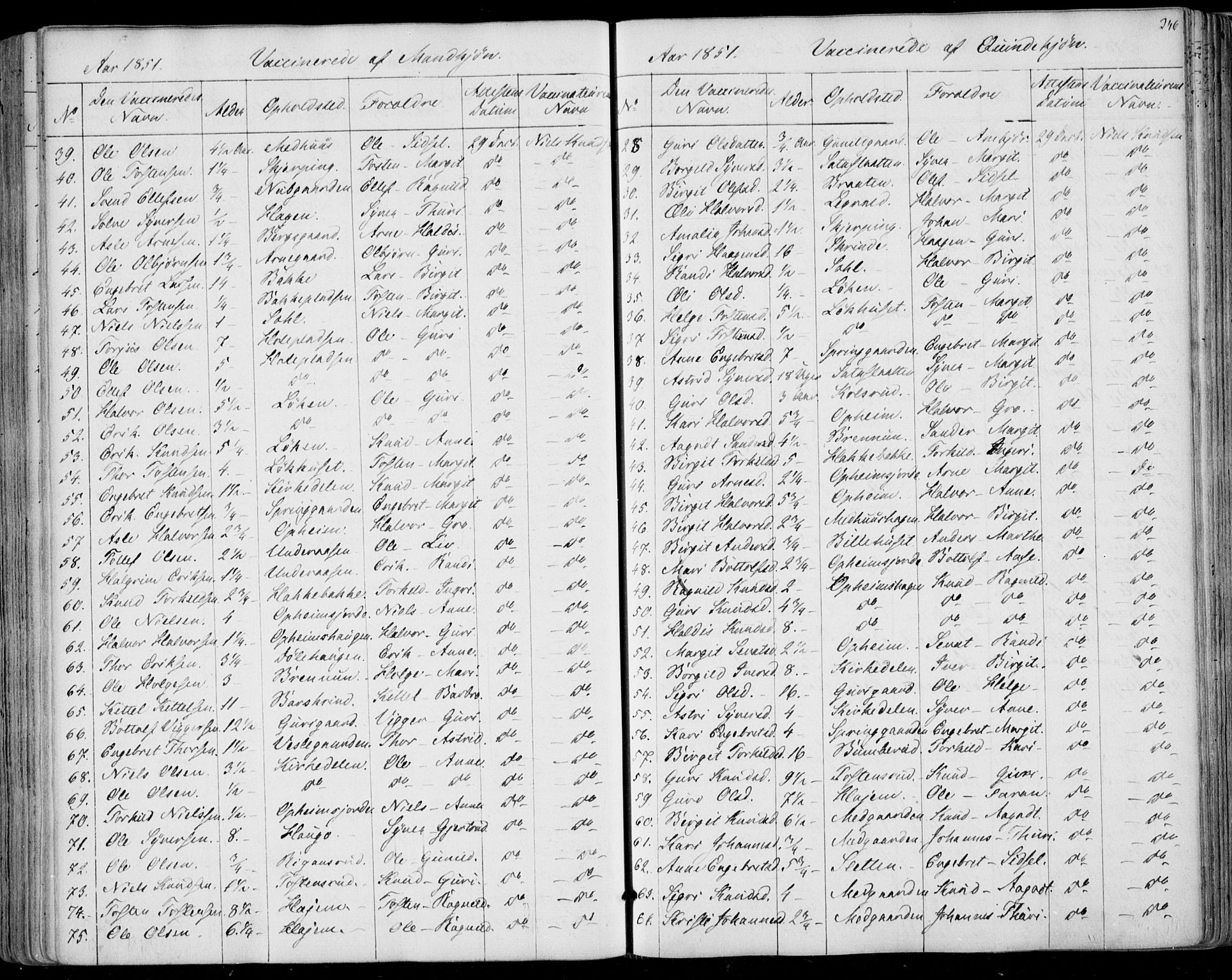 Ål kirkebøker, SAKO/A-249/F/Fa/L0006: Parish register (official) no. I 6, 1849-1864, p. 246